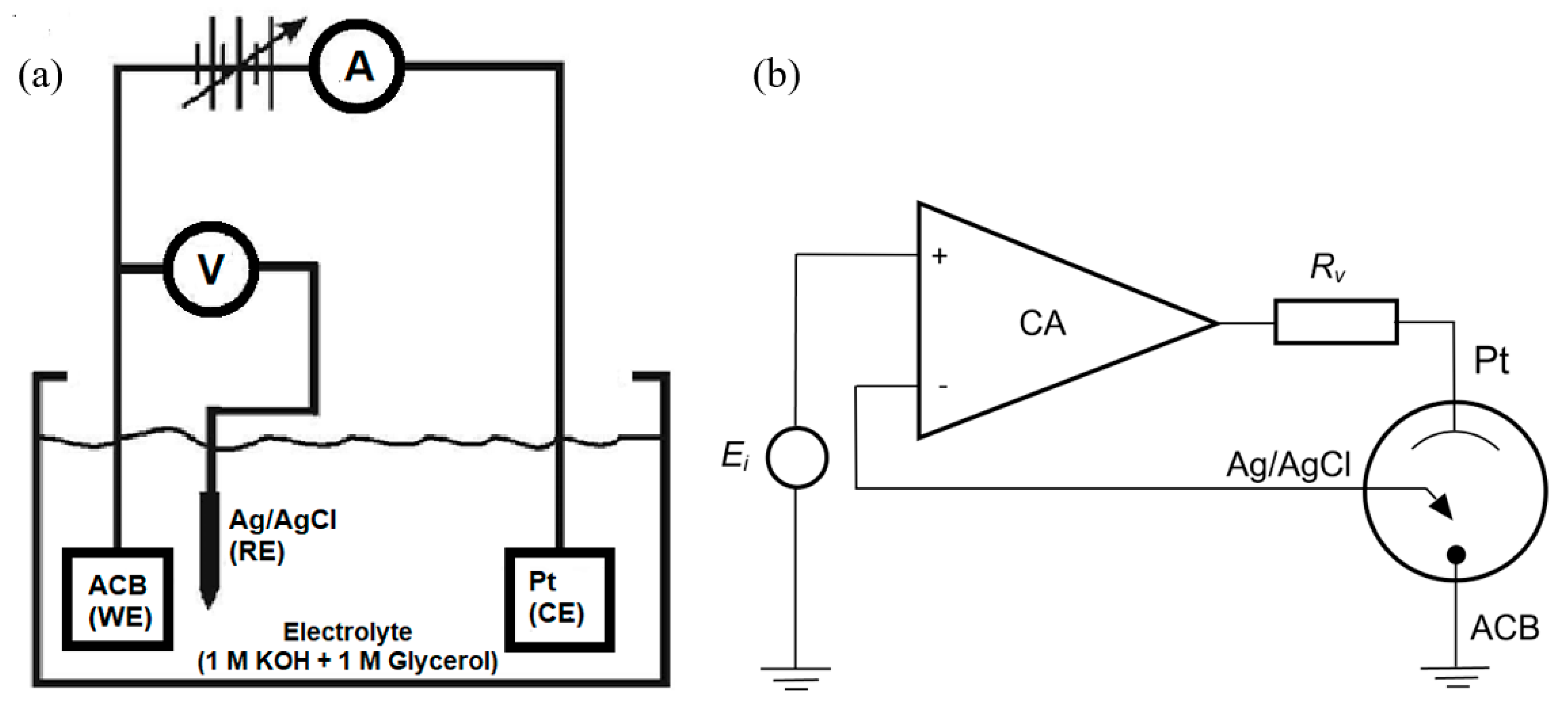 Catalysts 15 00805 g014