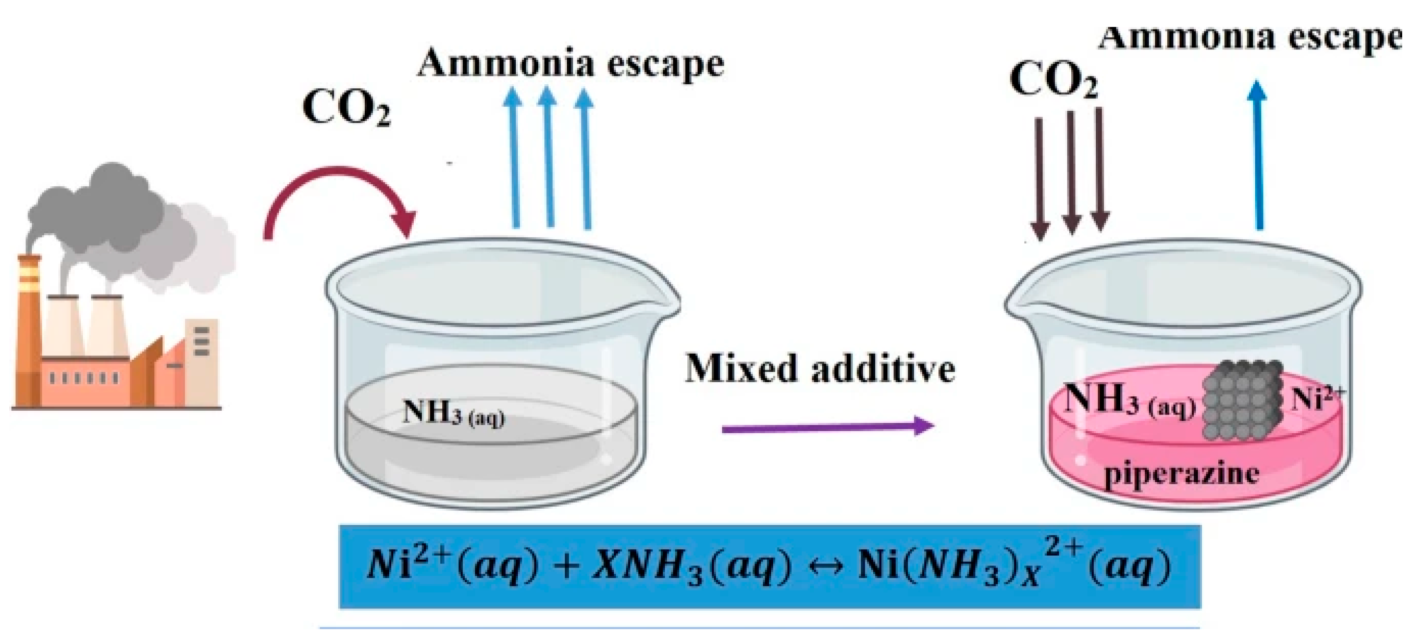 Catalysts 15 00807 g006