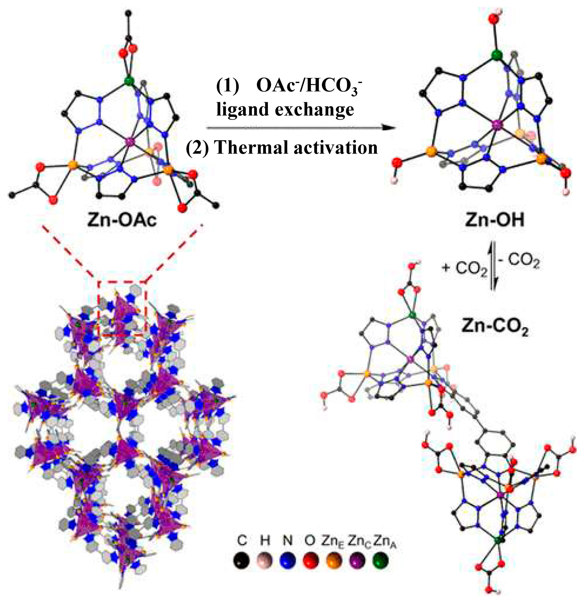 Catalysts 15 00807 g013