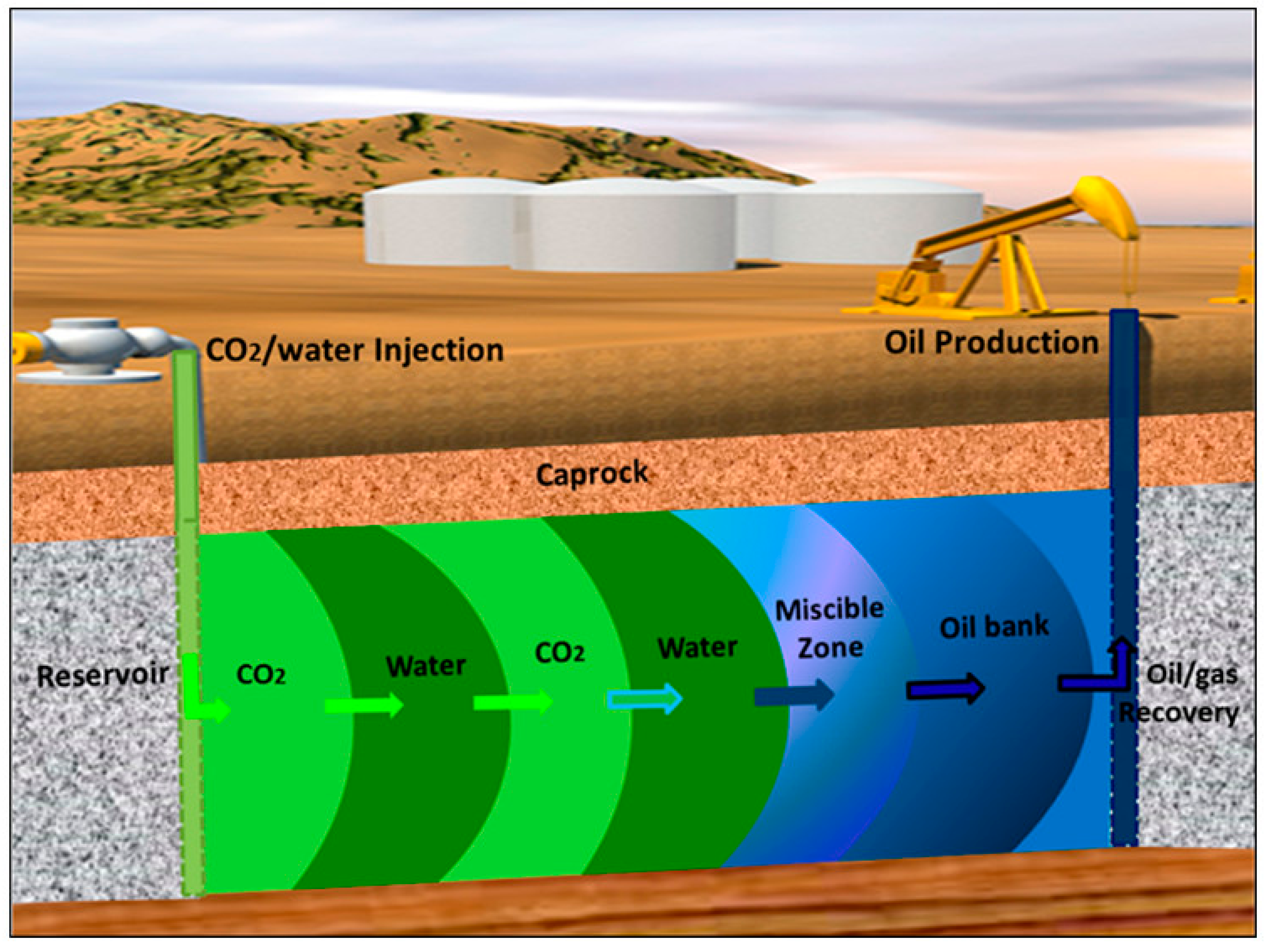 Catalysts 15 00807 g017