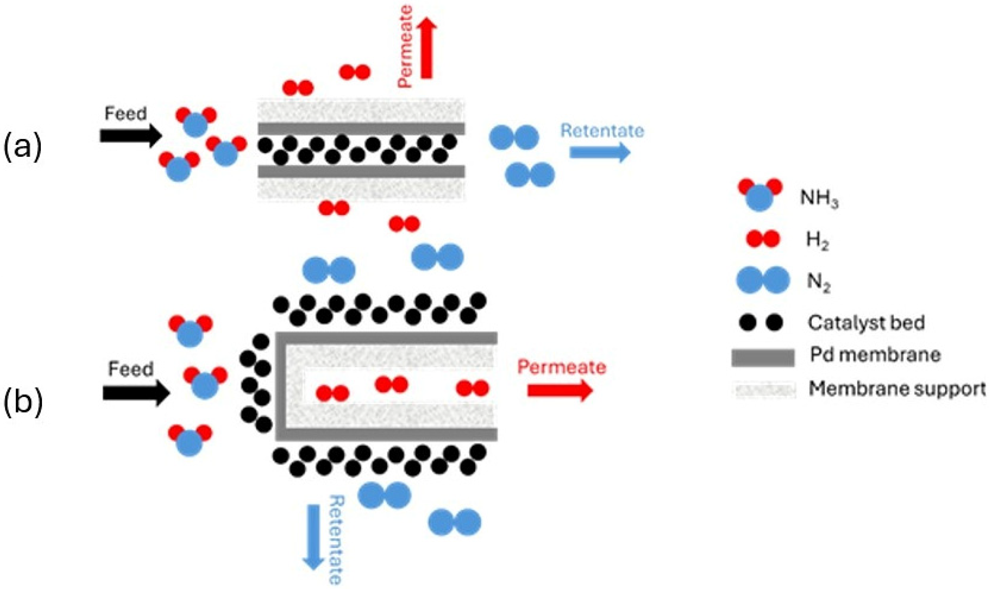 Catalysts 15 00811 g005