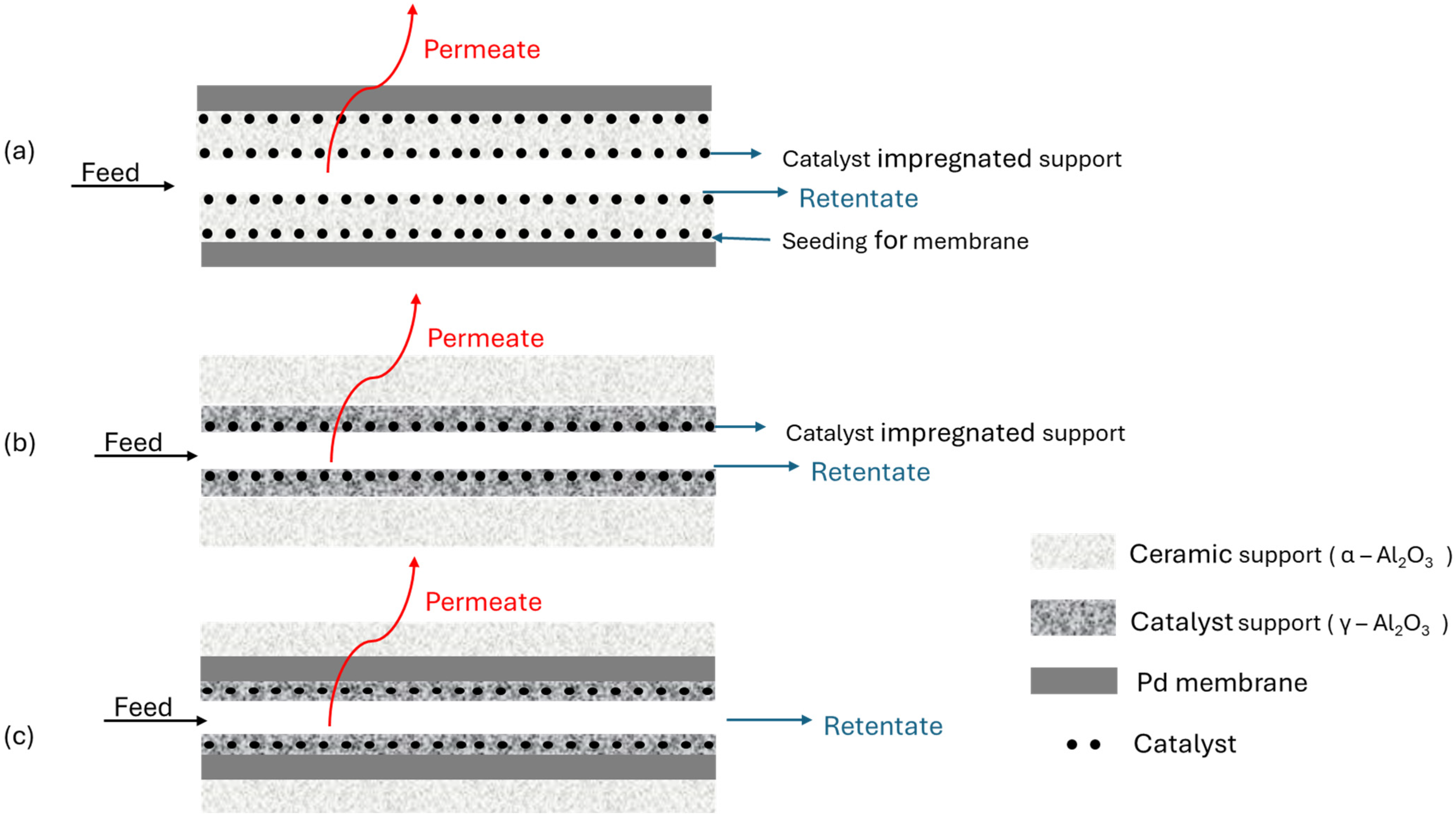 Catalysts 15 00811 g006
