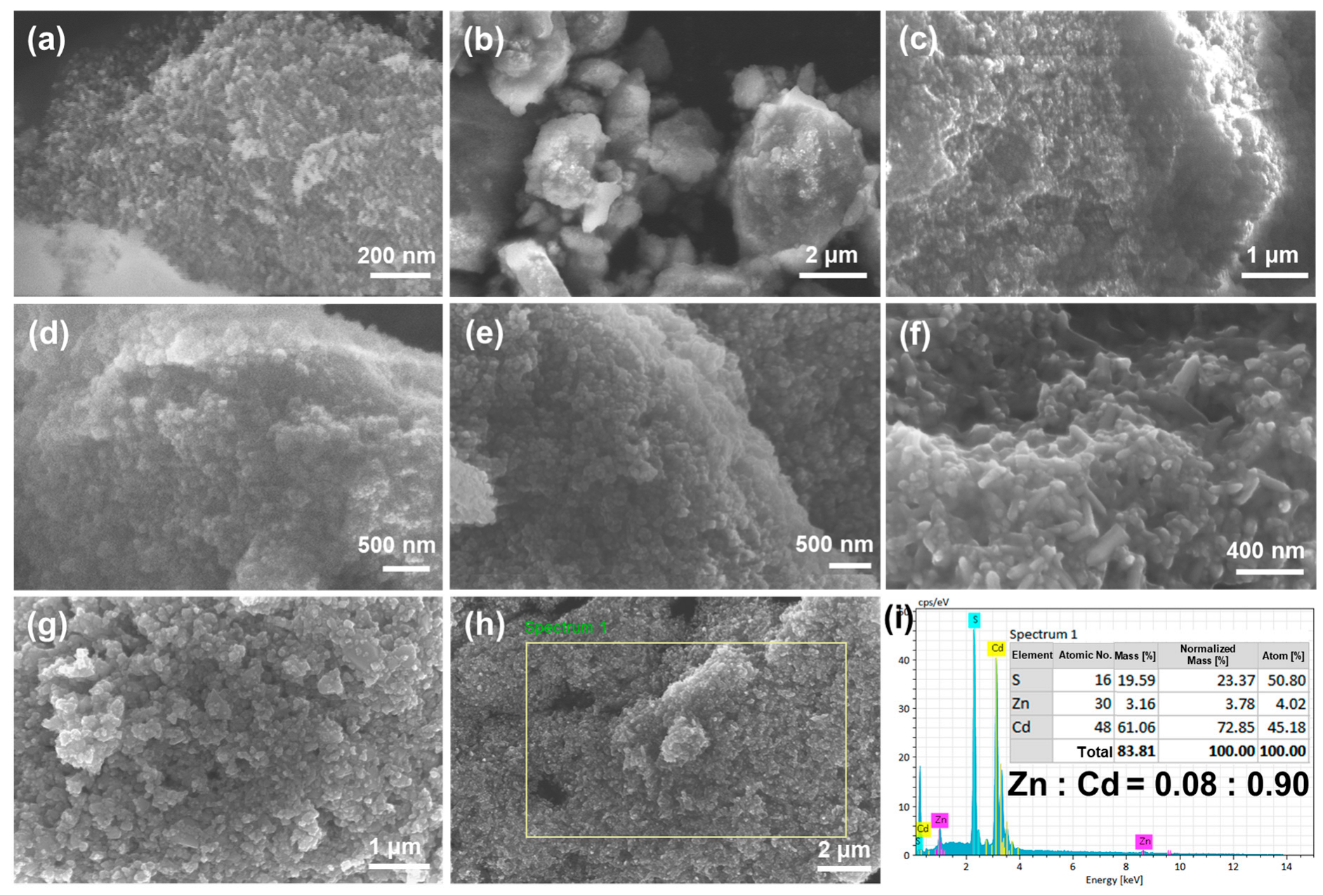 Catalysts 15 00819 g002 Catalysts 15 00819 g002