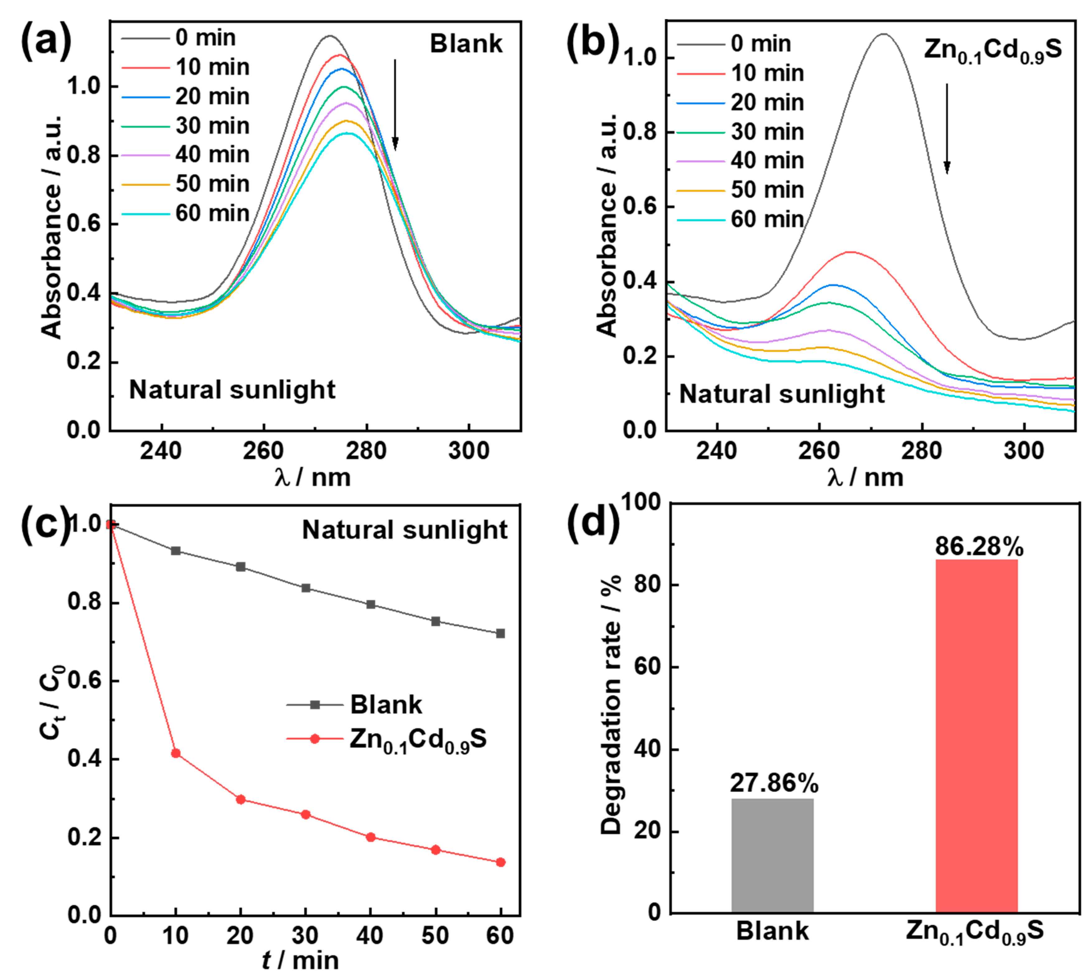 Catalysts 15 00819 g009 Catalysts 15 00819 g009