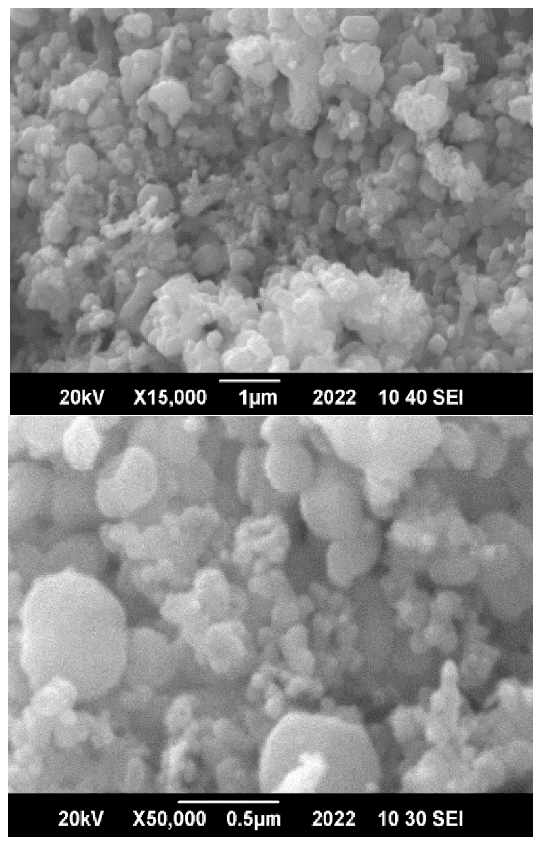 Catalysts 15 00820 g002