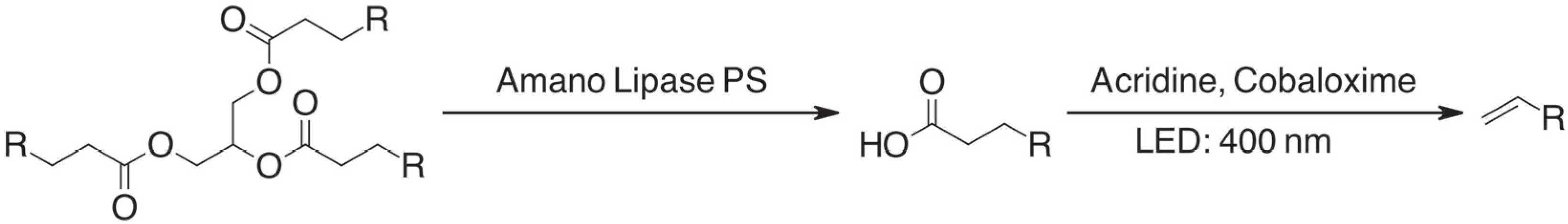 Catalysts 15 00822 sch001
