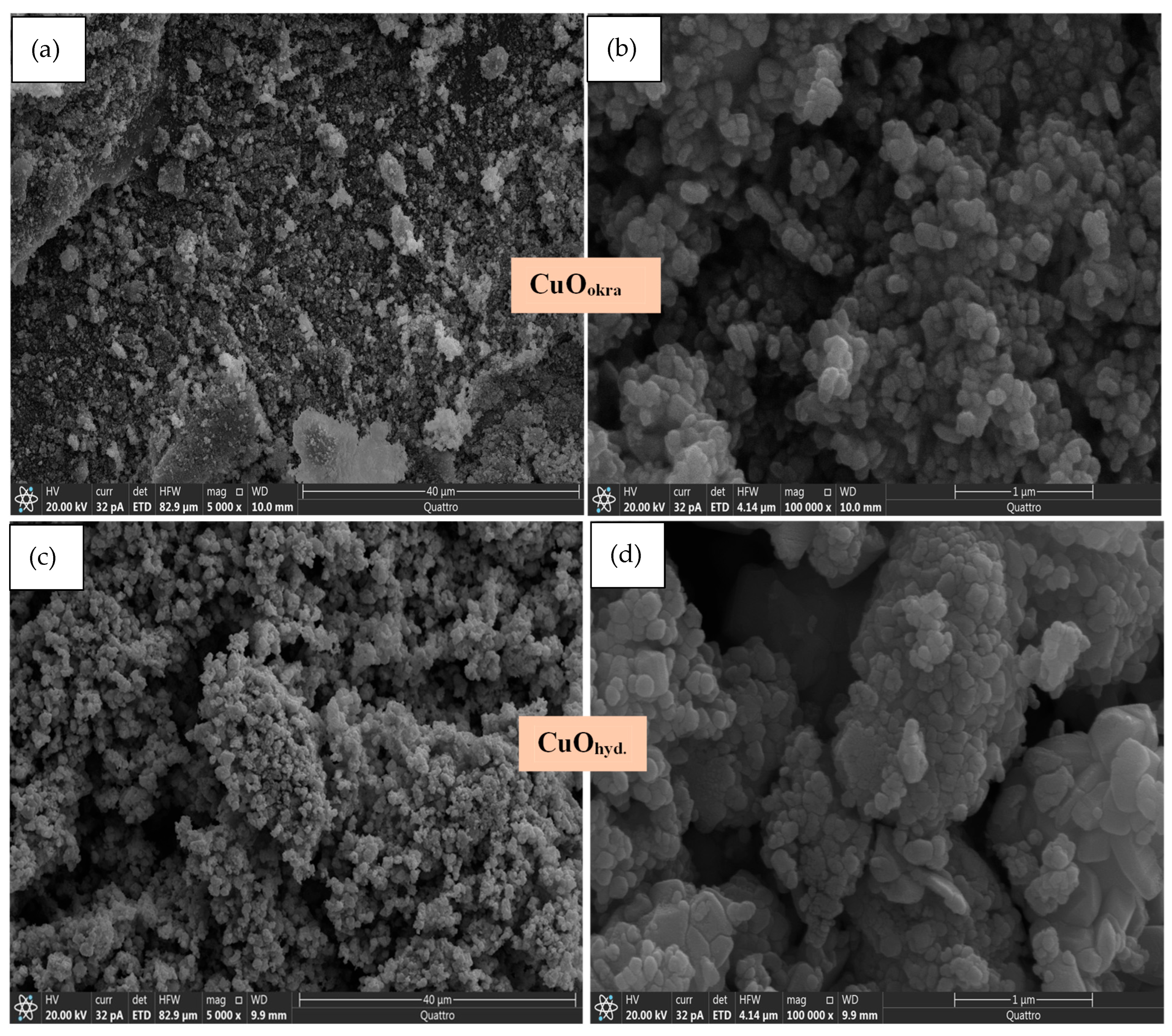 Catalysts 15 00823 g004