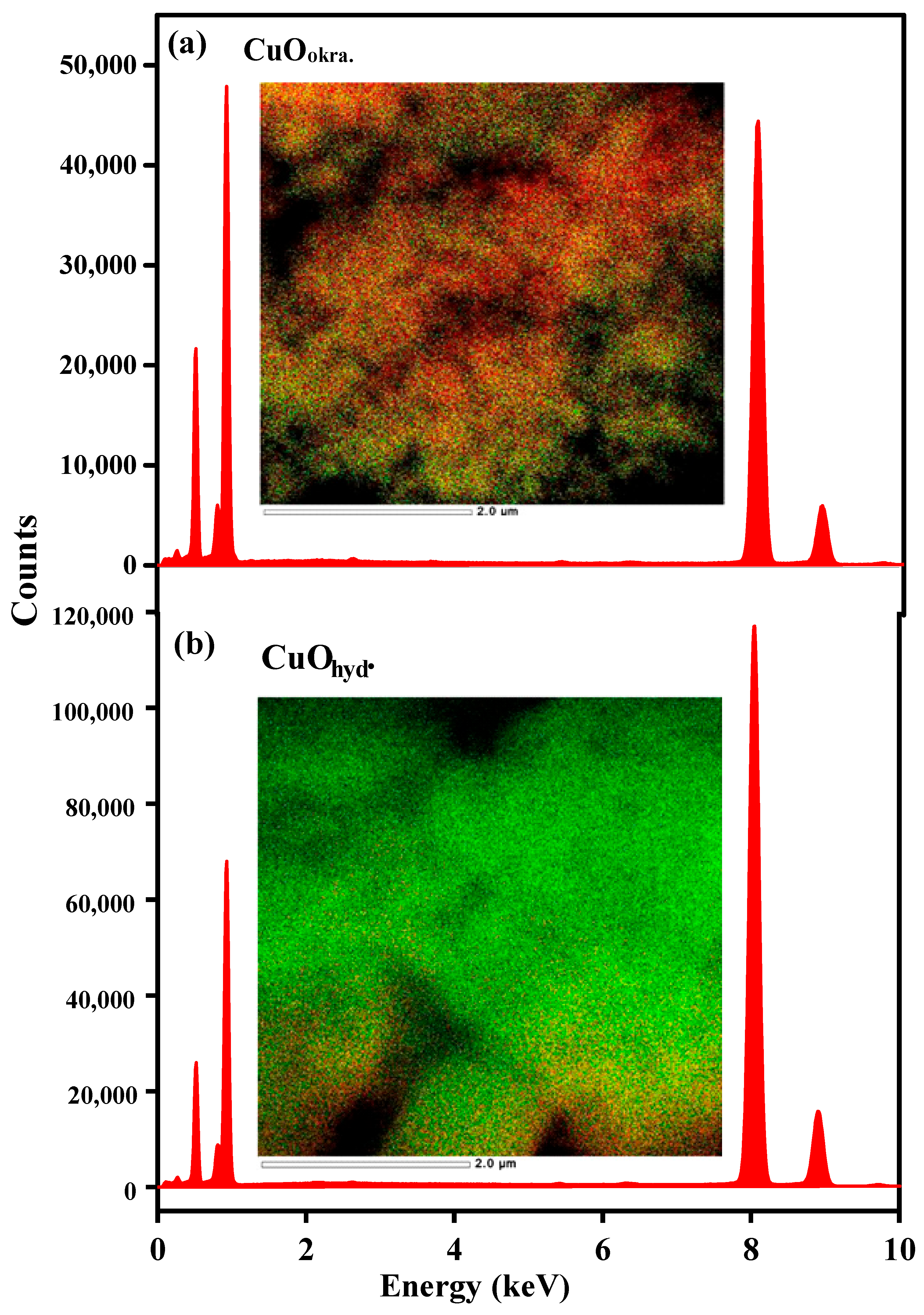 Catalysts 15 00823 g008
