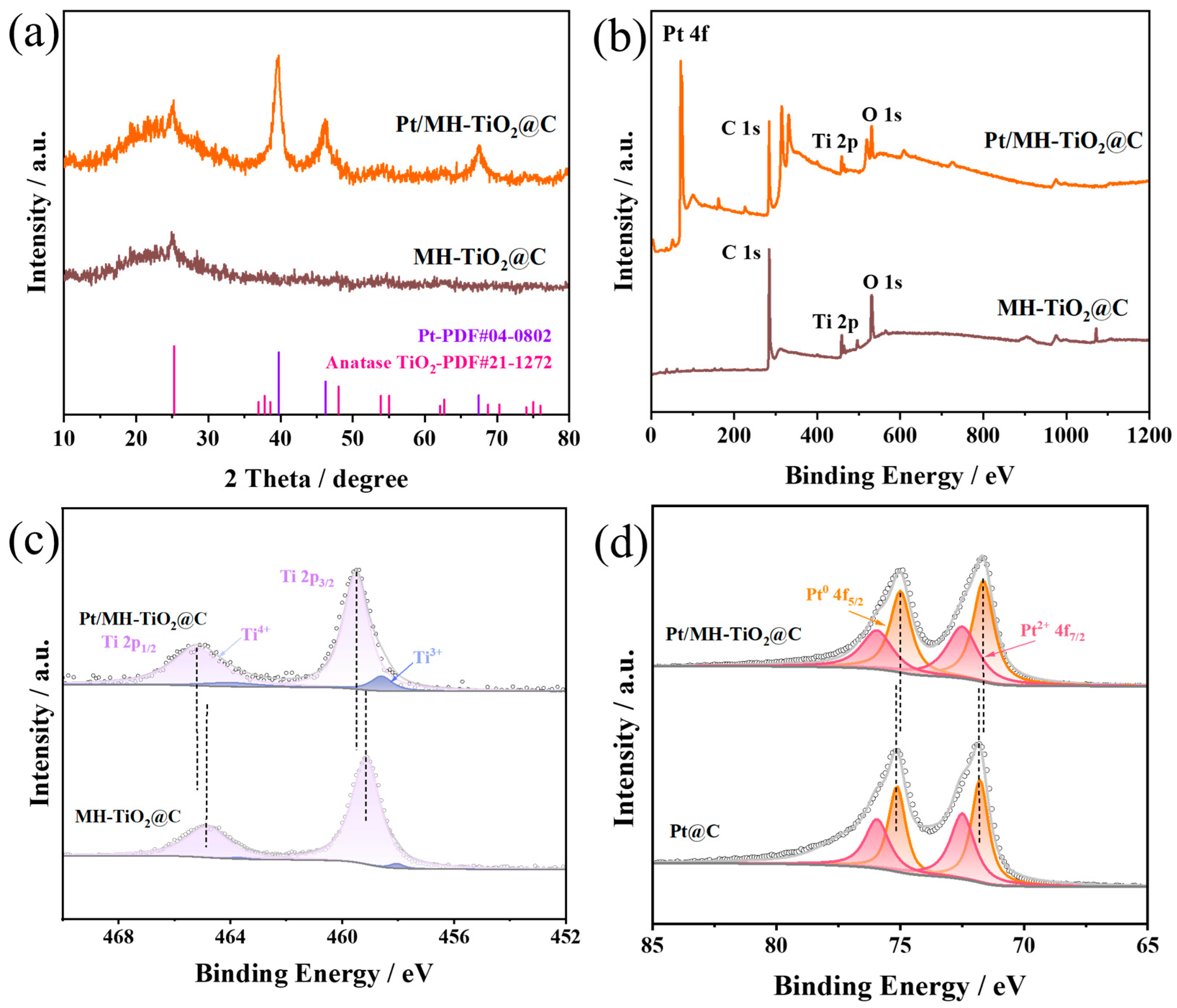 Catalysts 15 00834 g004 Catalysts 15 00834 g004
