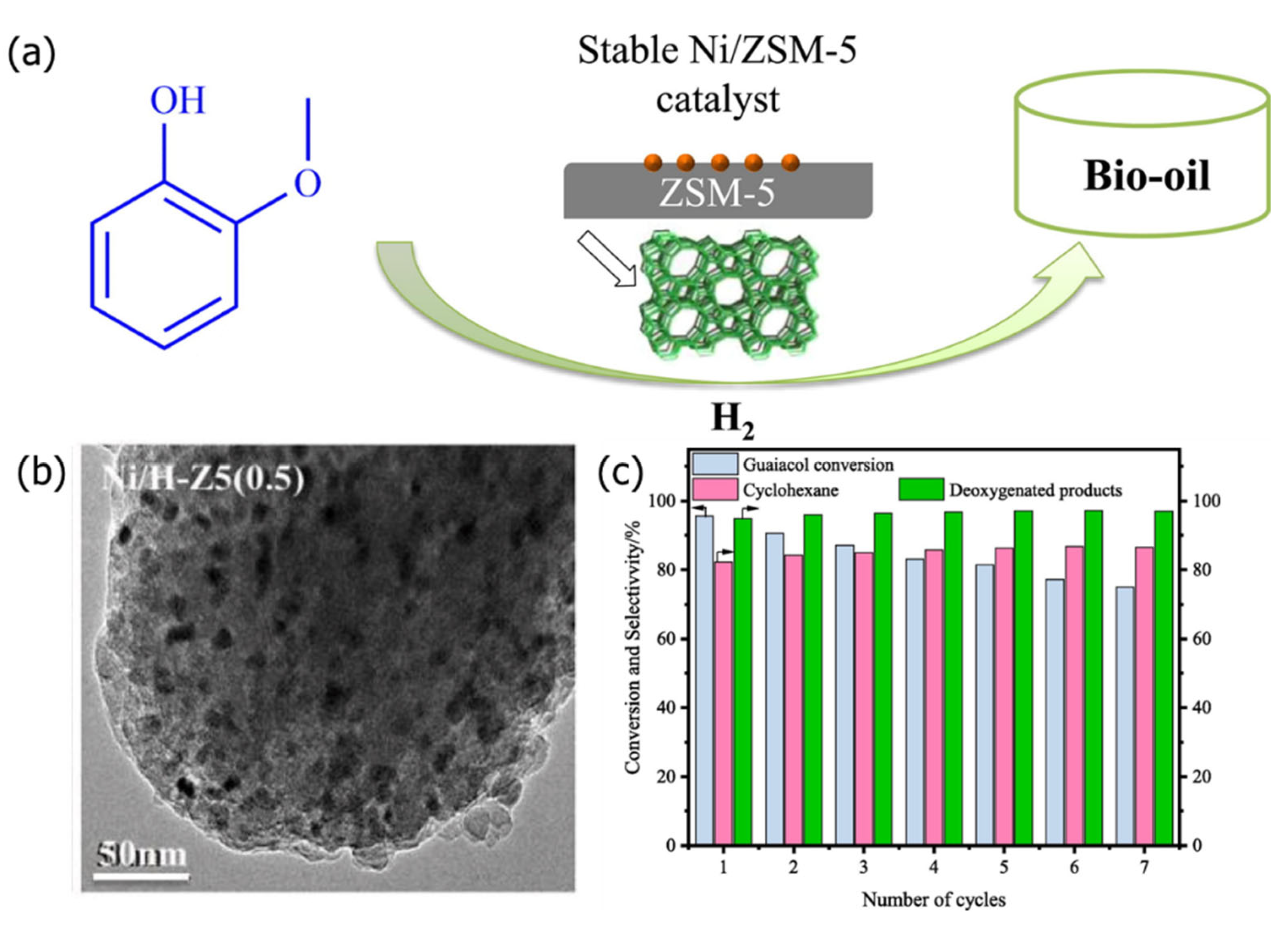 Catalysts 15 00836 g001 Catalysts 15 00836 g001