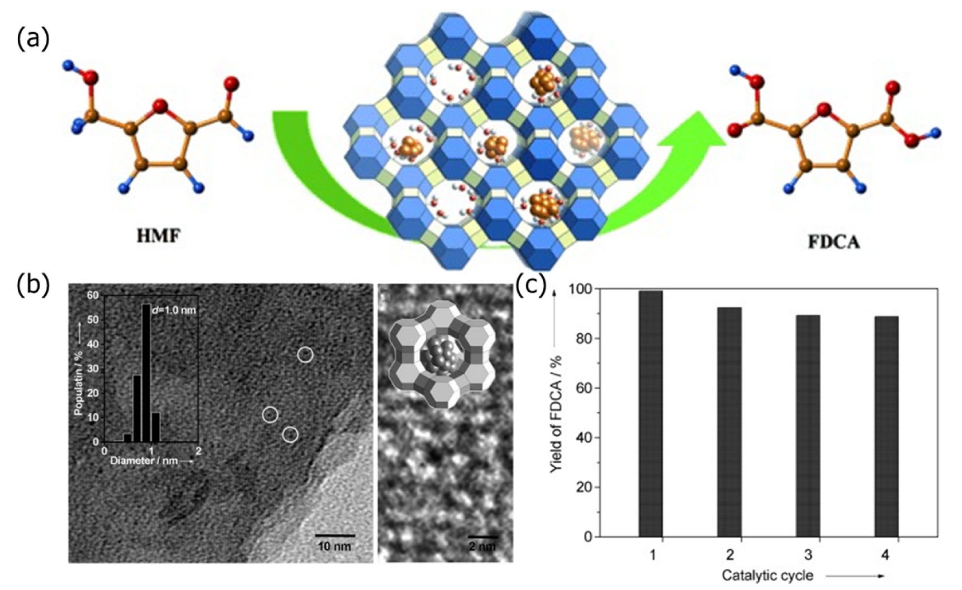 Catalysts 15 00836 g002 Catalysts 15 00836 g002