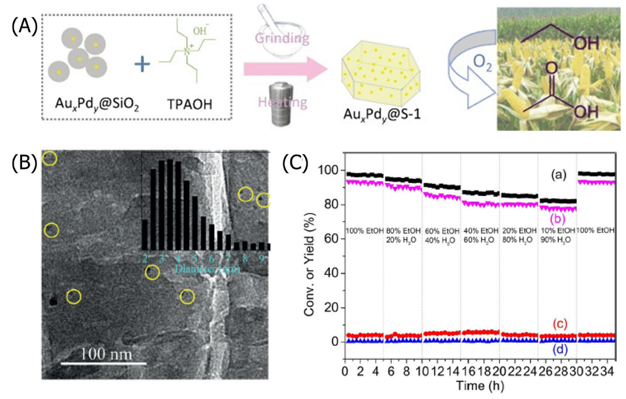 Catalysts 15 00836 g004 Catalysts 15 00836 g004