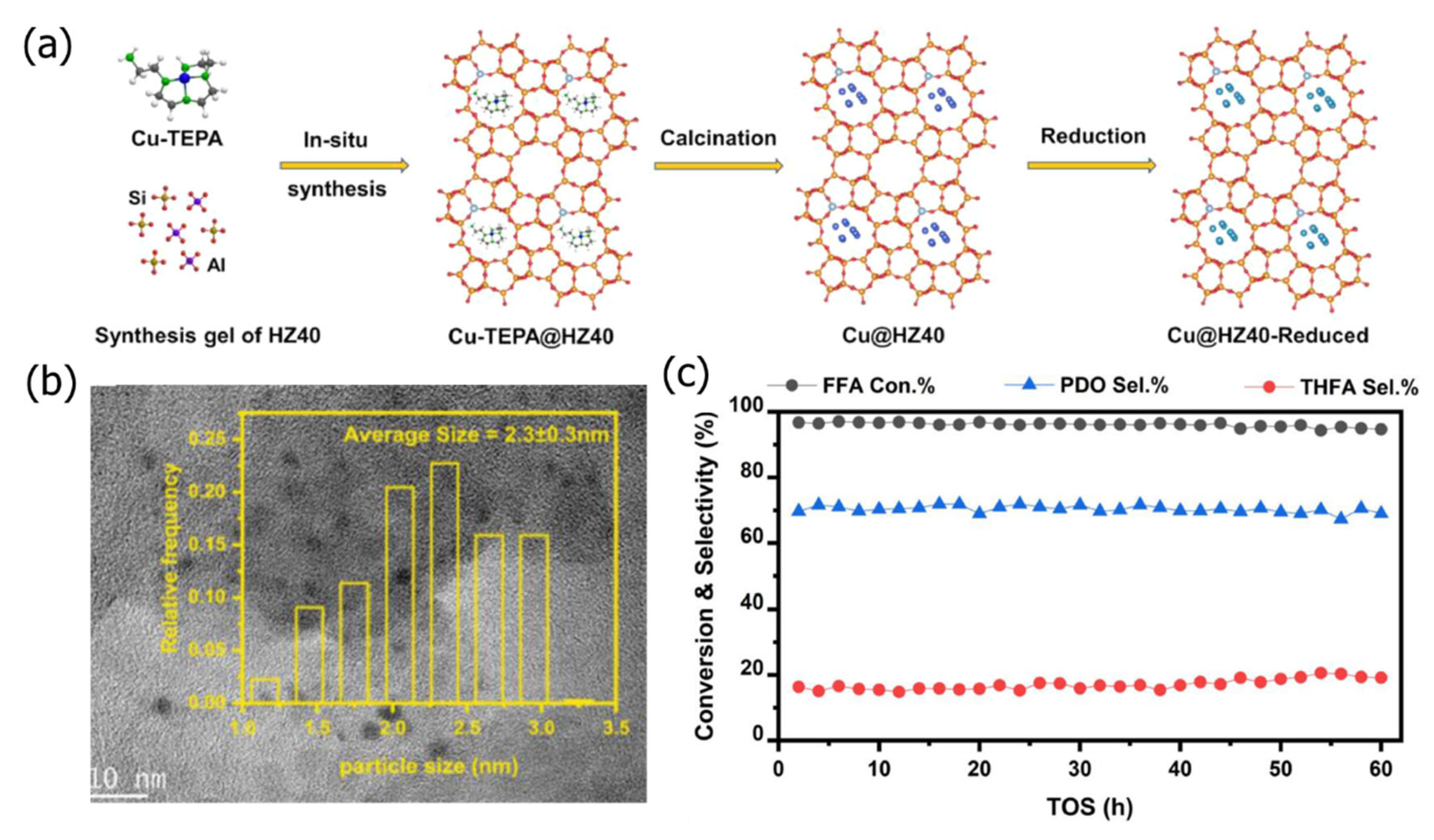 Catalysts 15 00836 g005 Catalysts 15 00836 g005