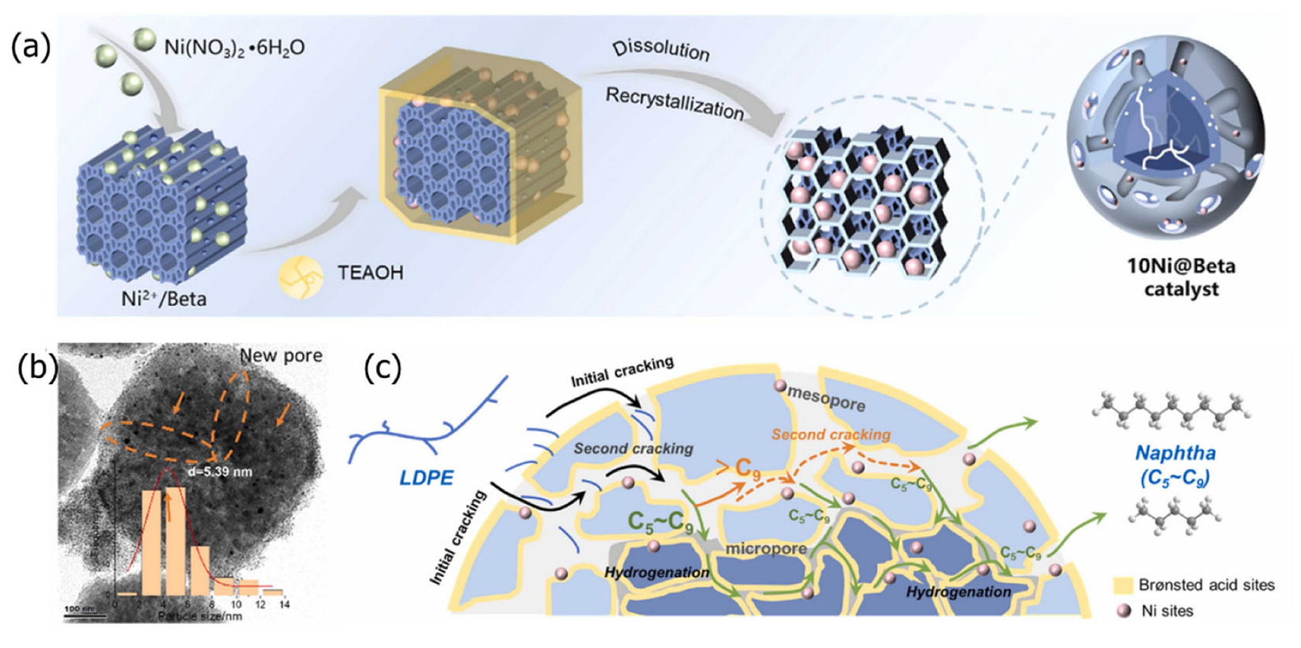 Catalysts 15 00836 g006 Catalysts 15 00836 g006