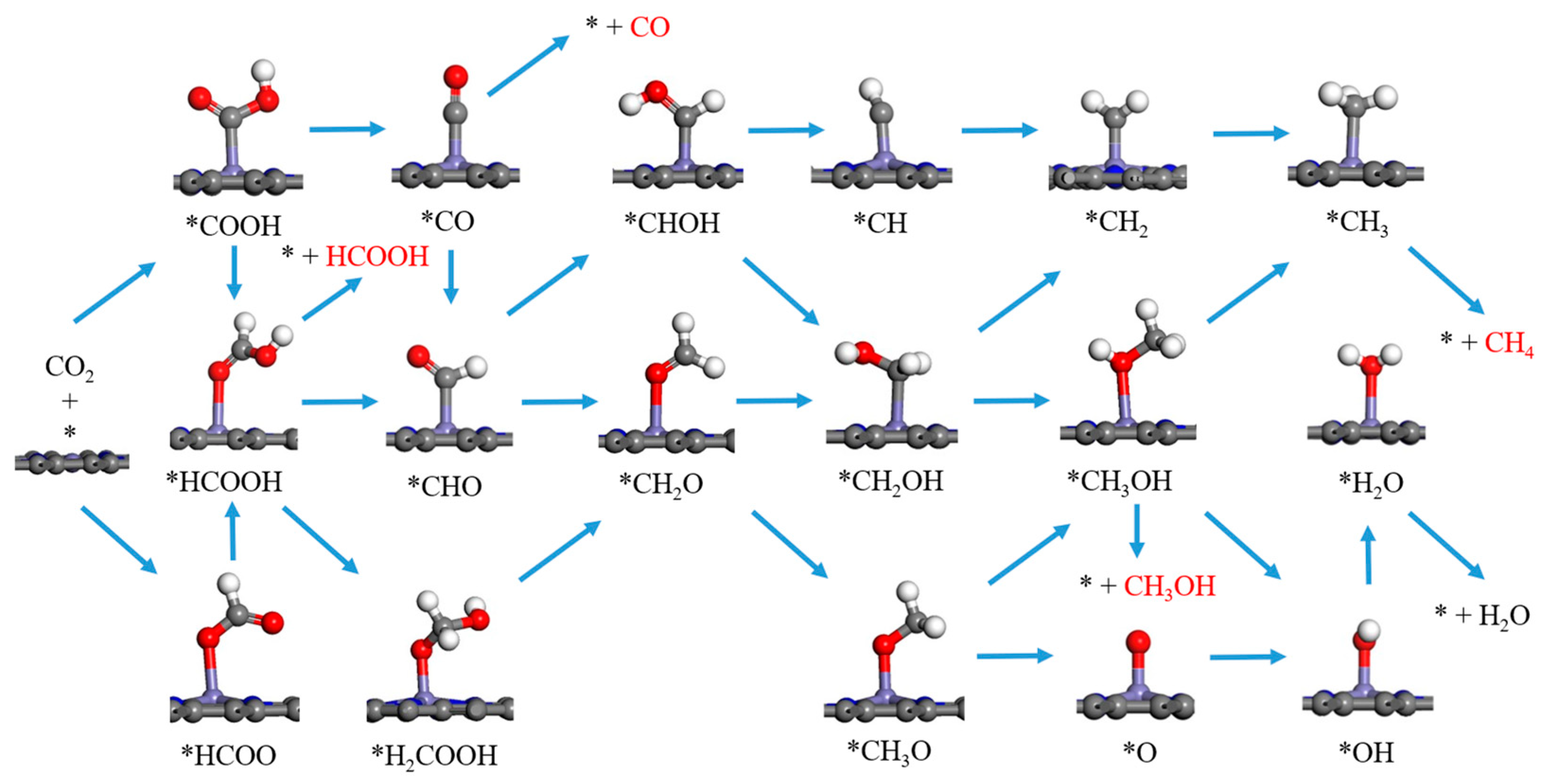 Catalysts 15 00837 g002 Catalysts 15 00837 g002