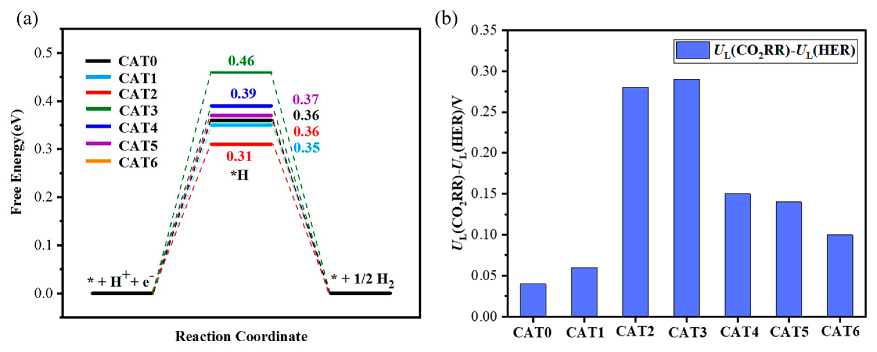 Catalysts 15 00837 g007 Catalysts 15 00837 g007