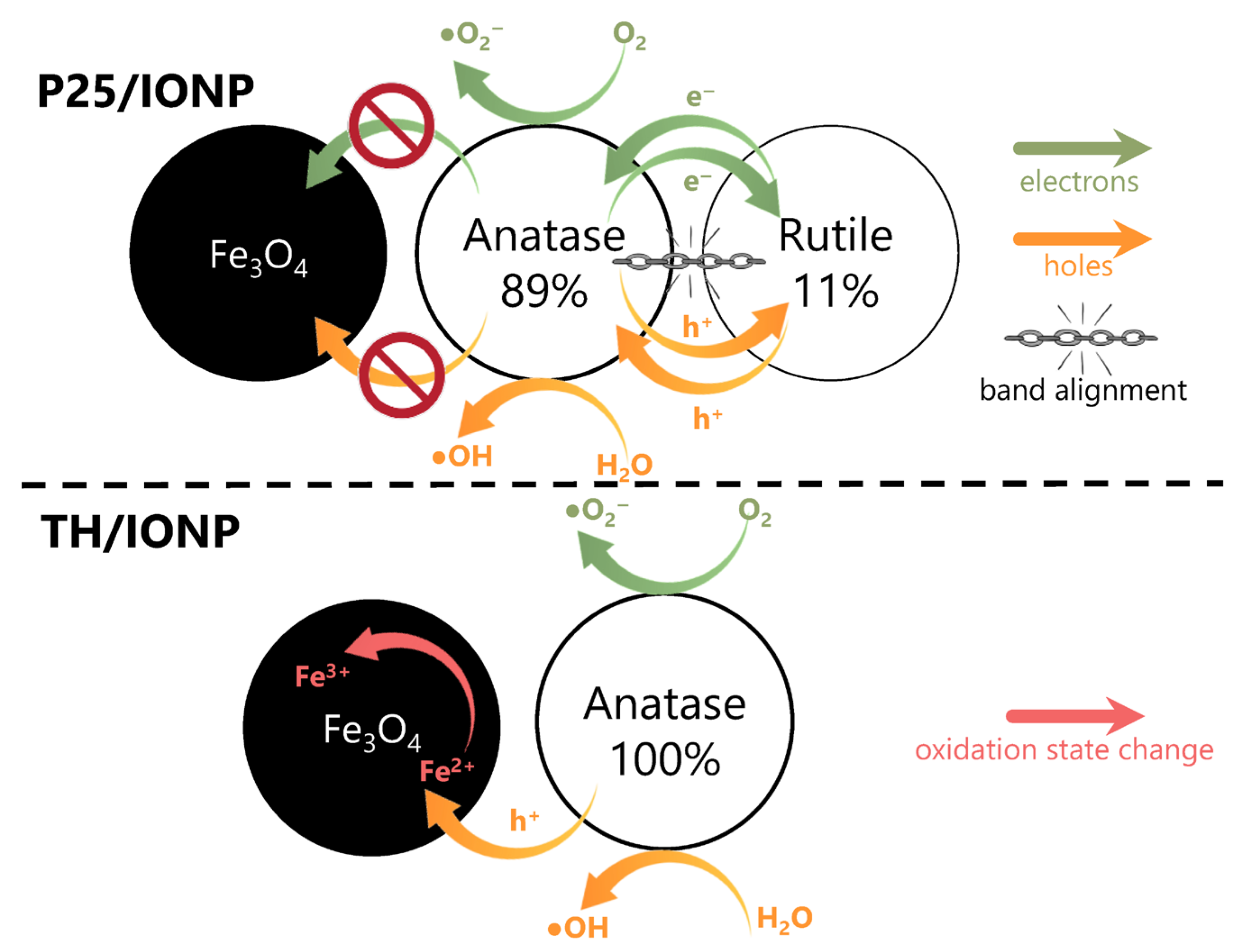 Catalysts 15 00839 g011 Catalysts 15 00839 g011