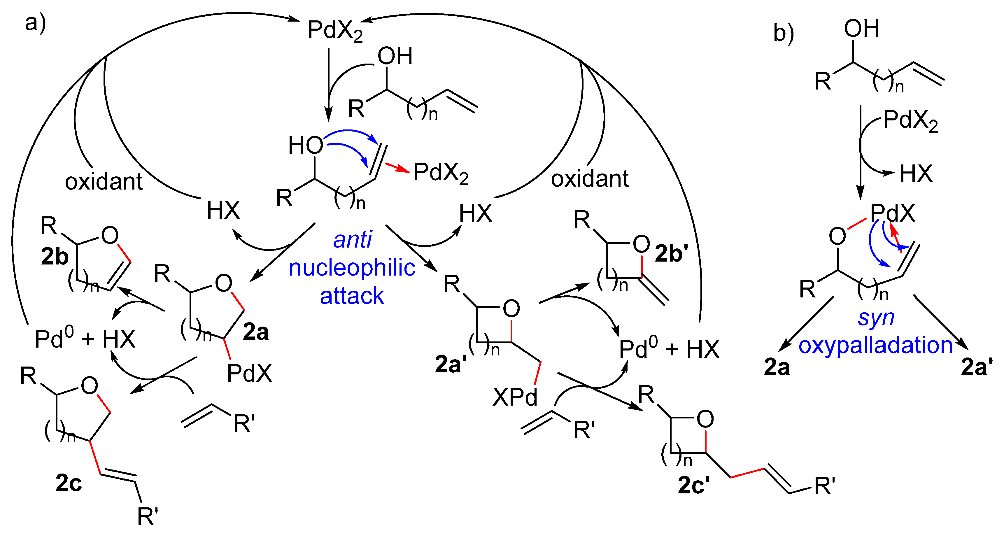 Catalysts 15 00845 sch002 Catalysts 15 00845 sch002