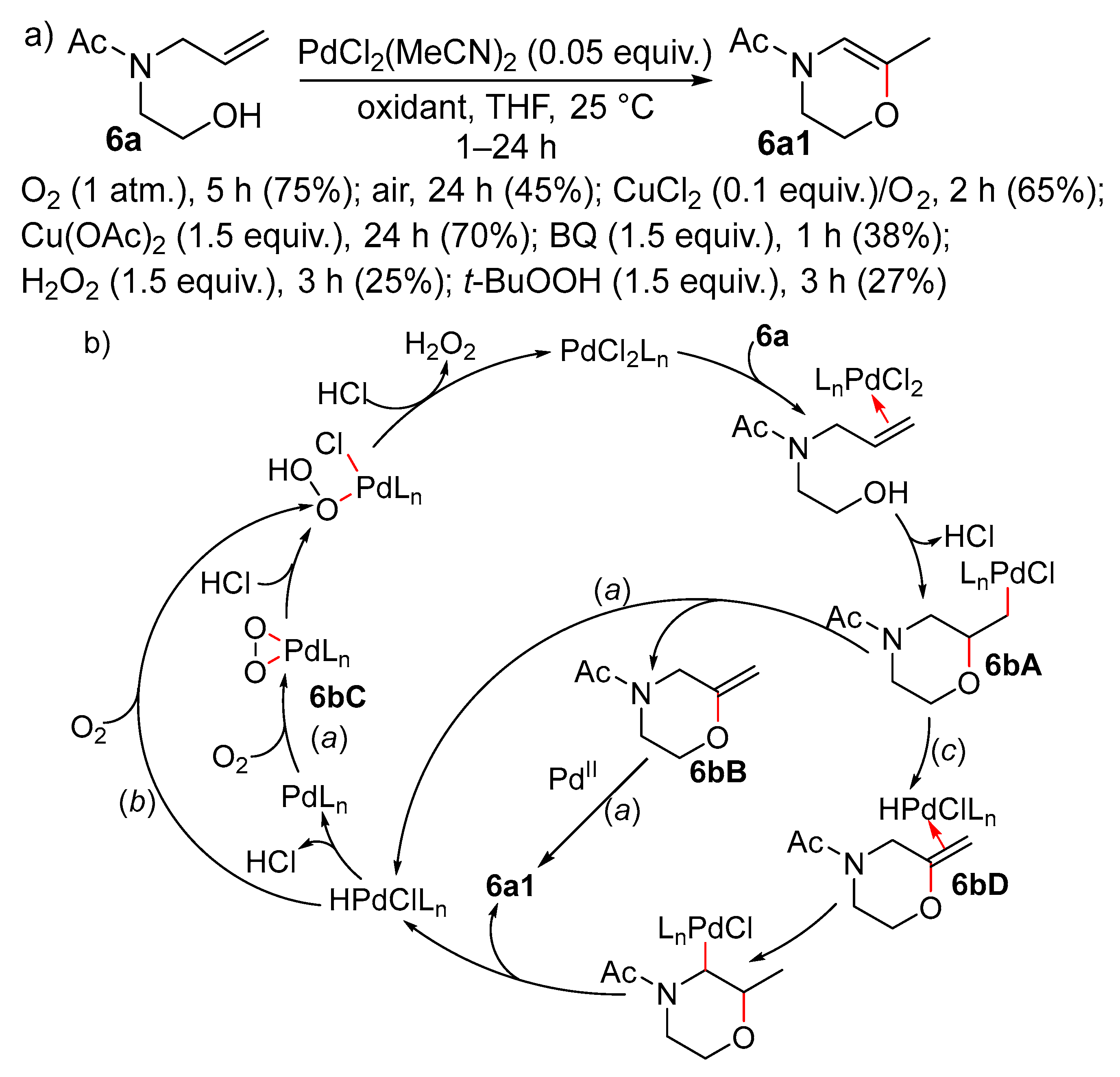 Catalysts 15 00845 sch006 Catalysts 15 00845 sch006