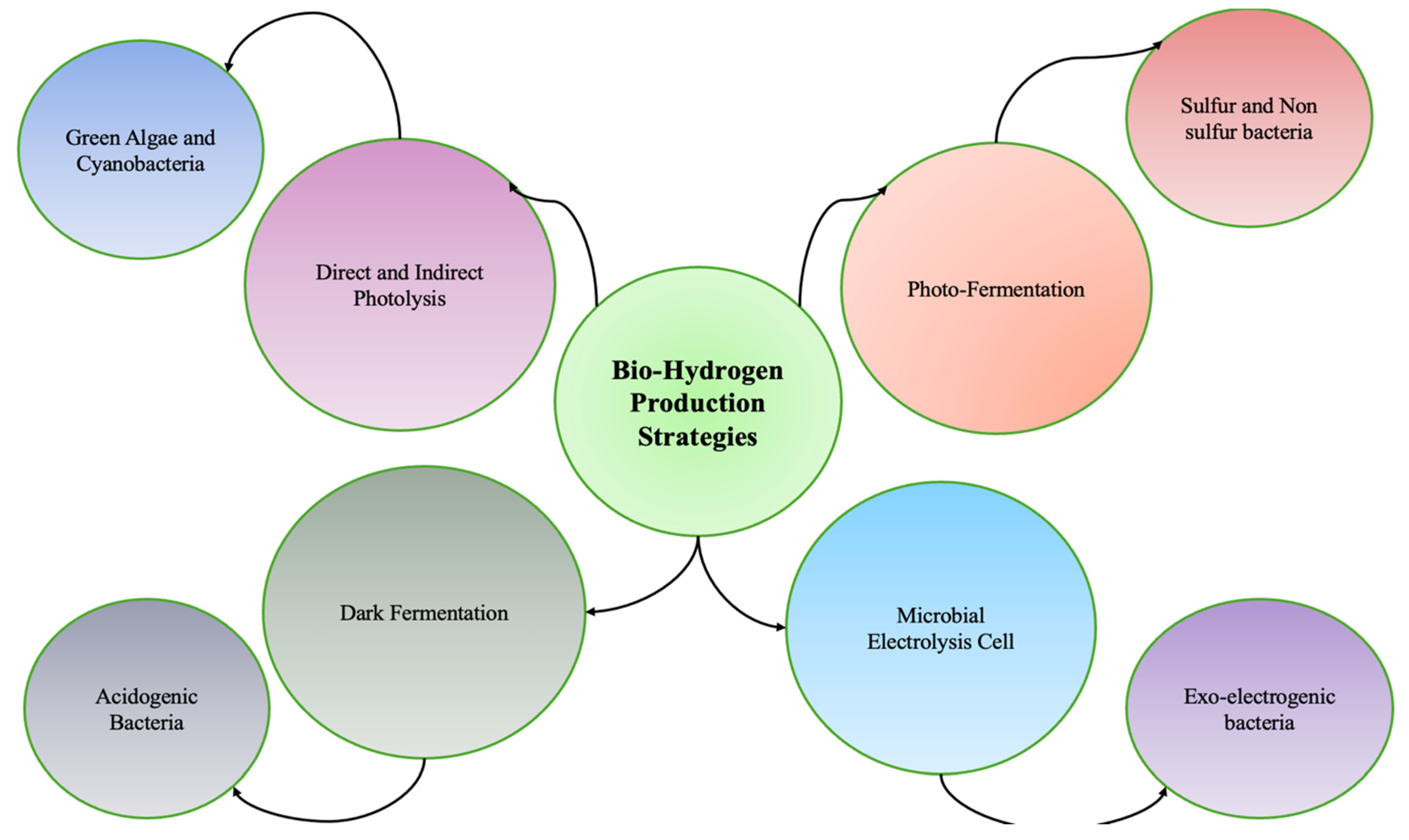 Catalysts 15 00848 g001