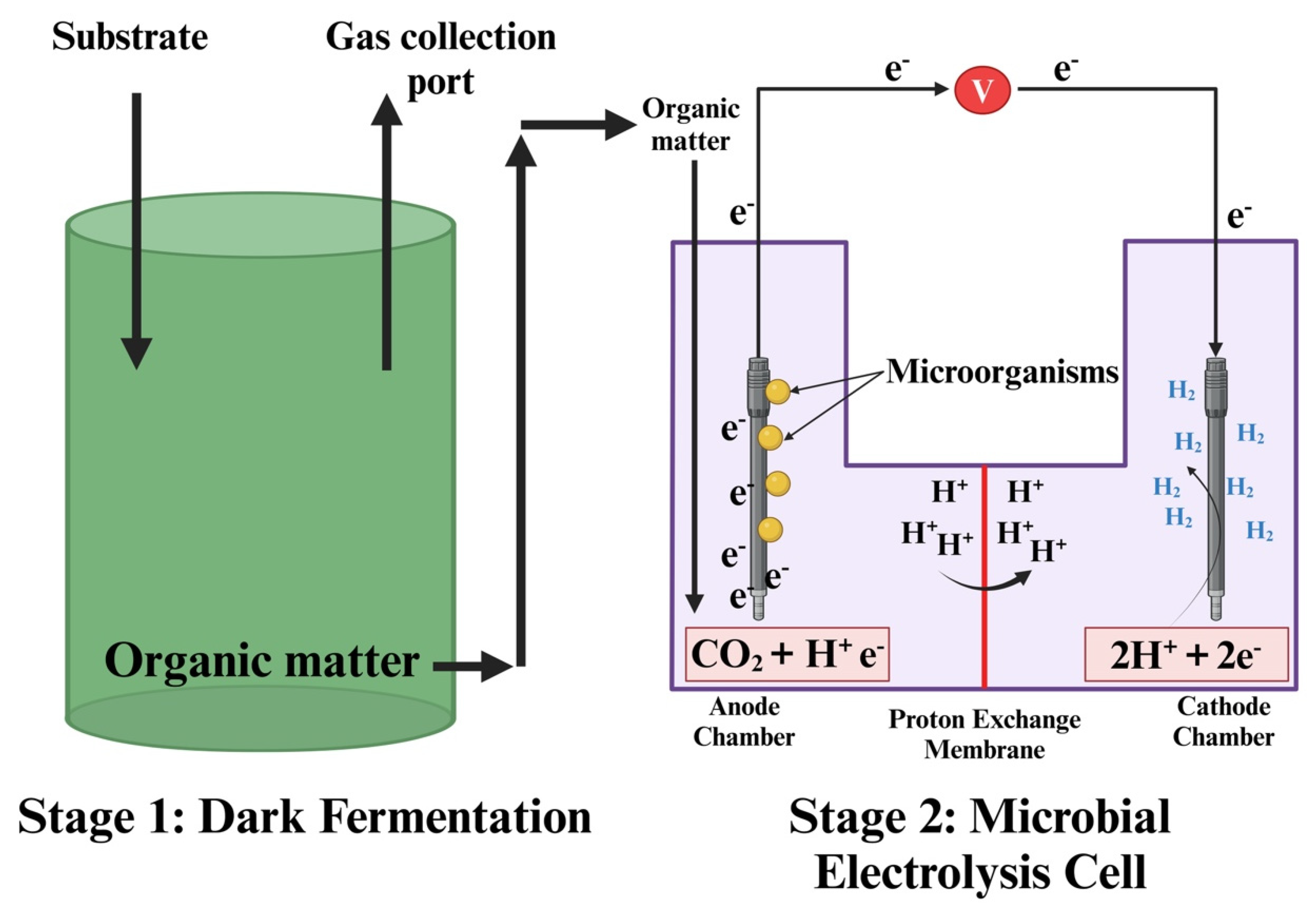 Catalysts 15 00848 g004