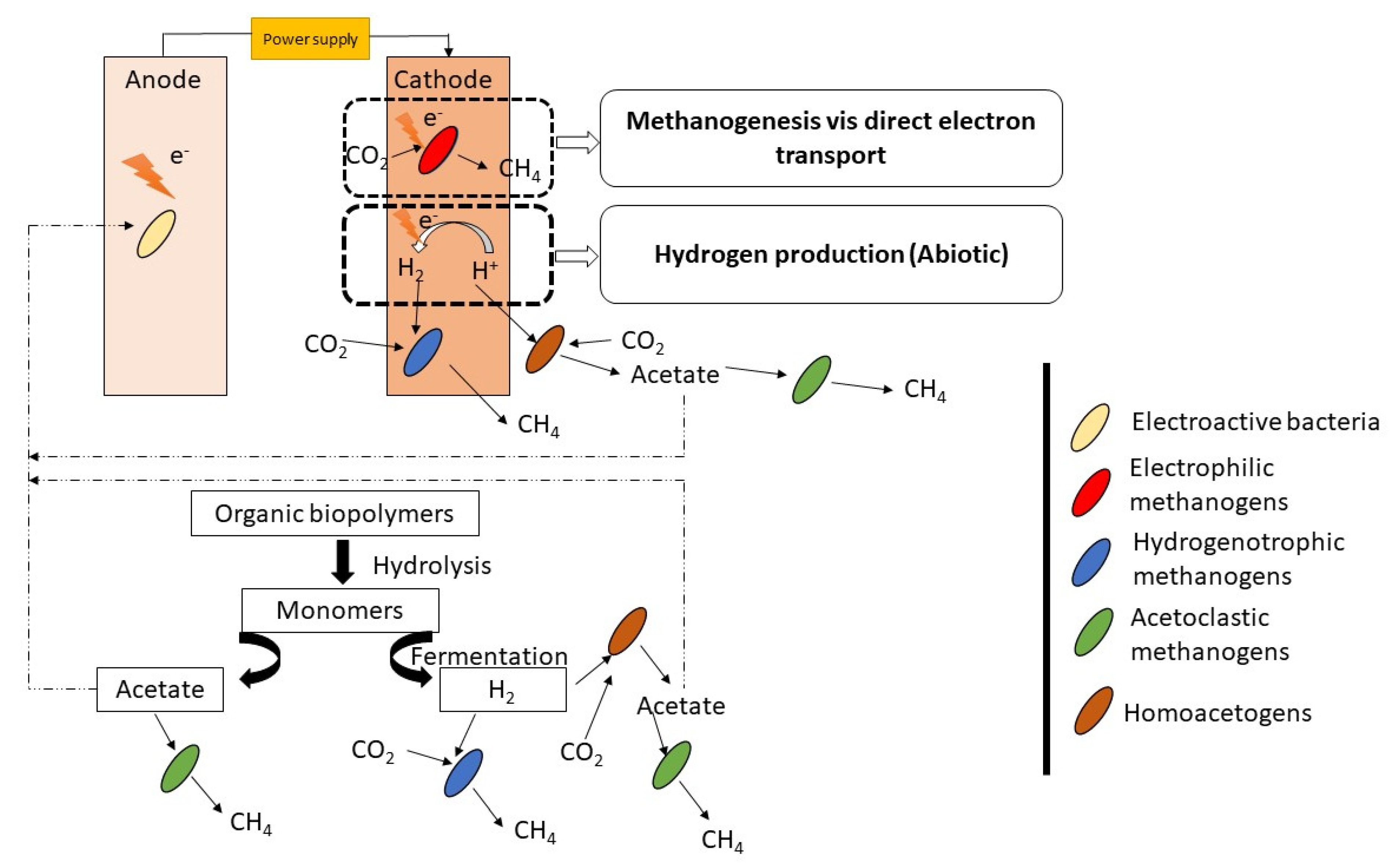 Catalysts 15 00848 g008