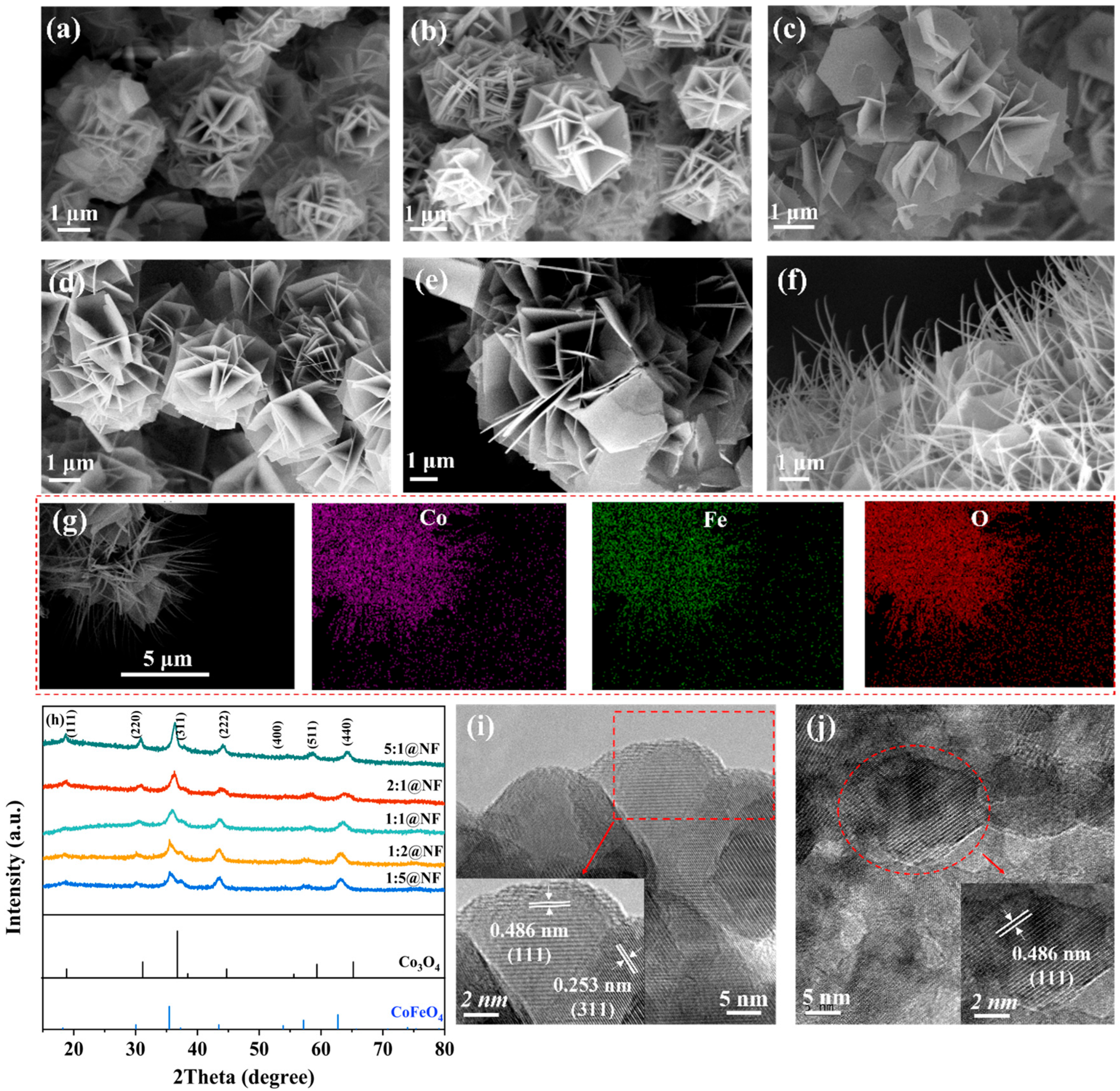 Catalysts 15 00854 g001