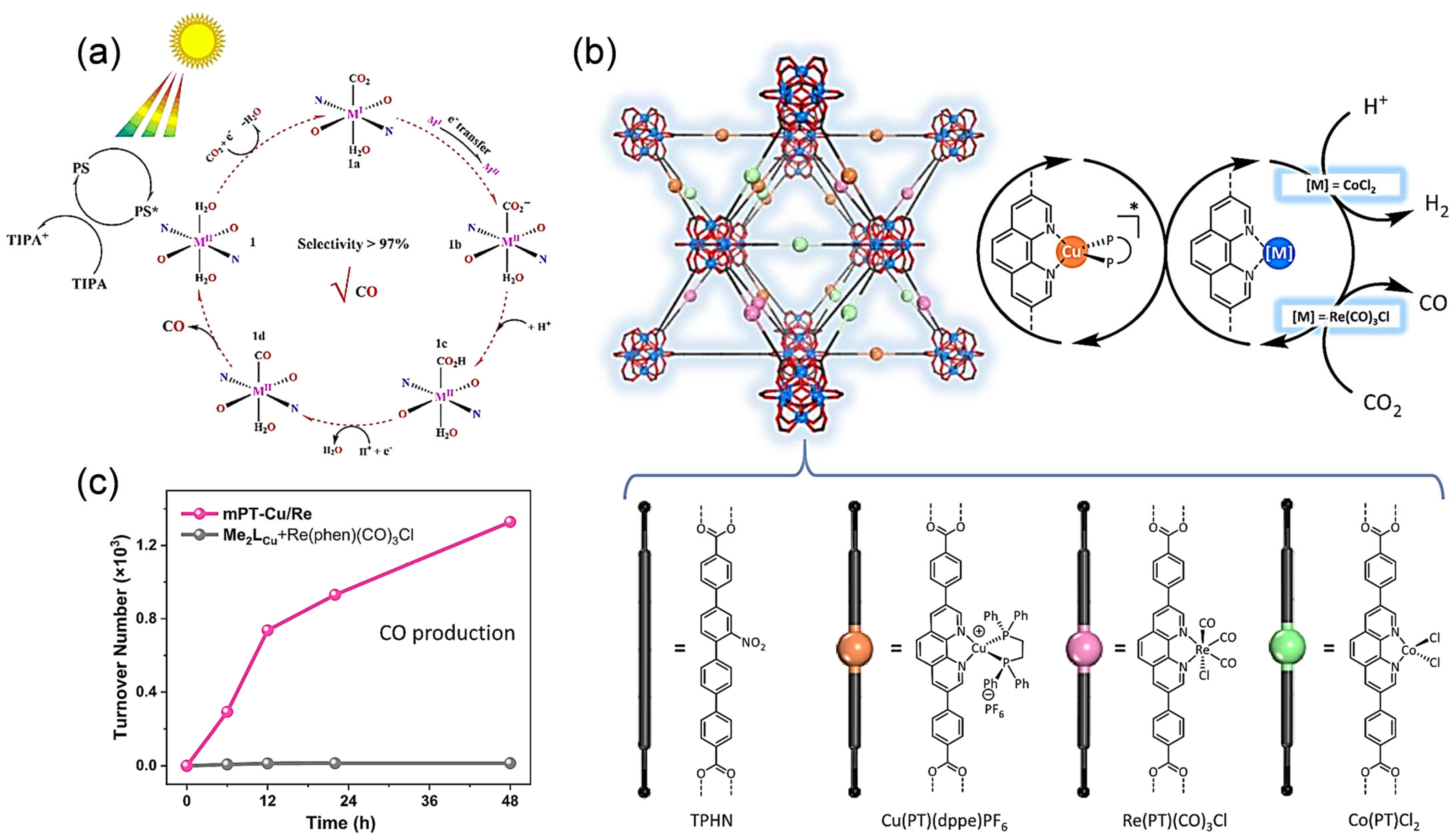 Catalysts 15 00856 g005 Catalysts 15 00856 g005