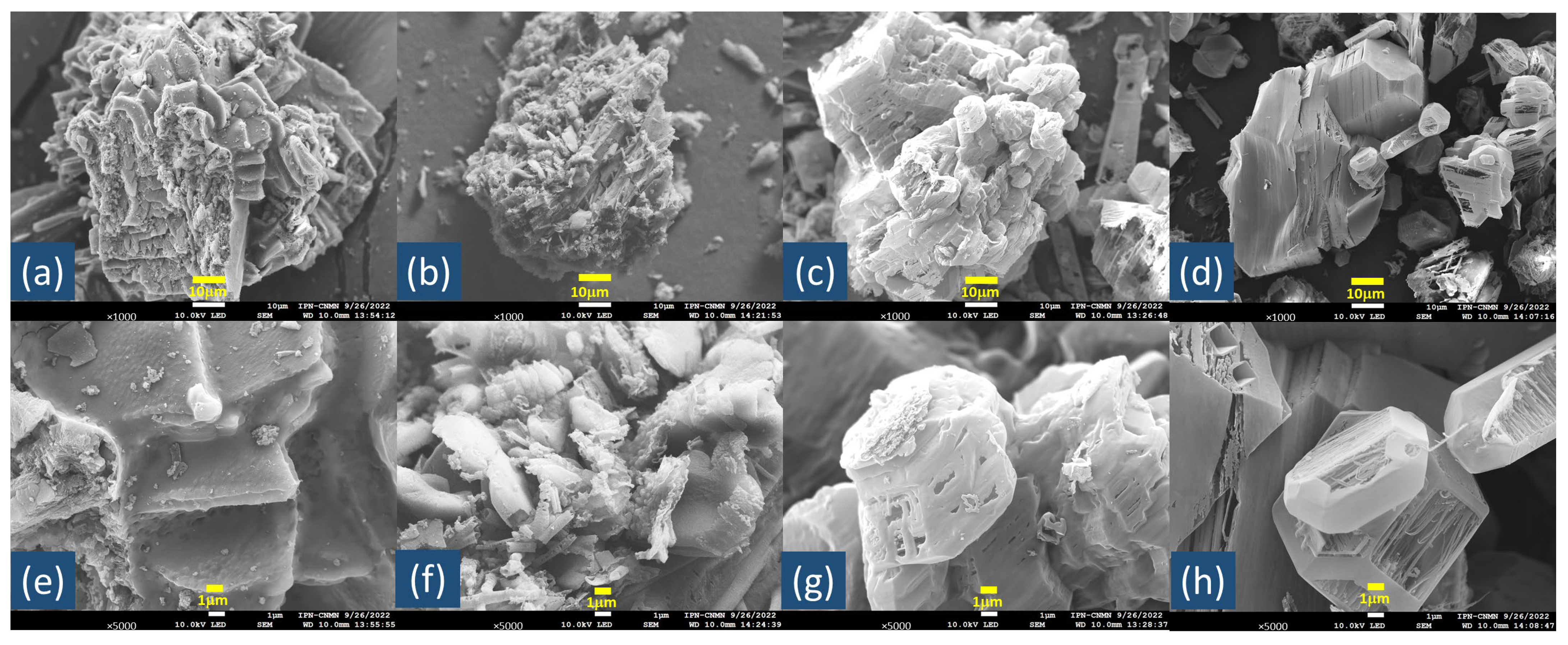 Catalysts 15 00858 g004