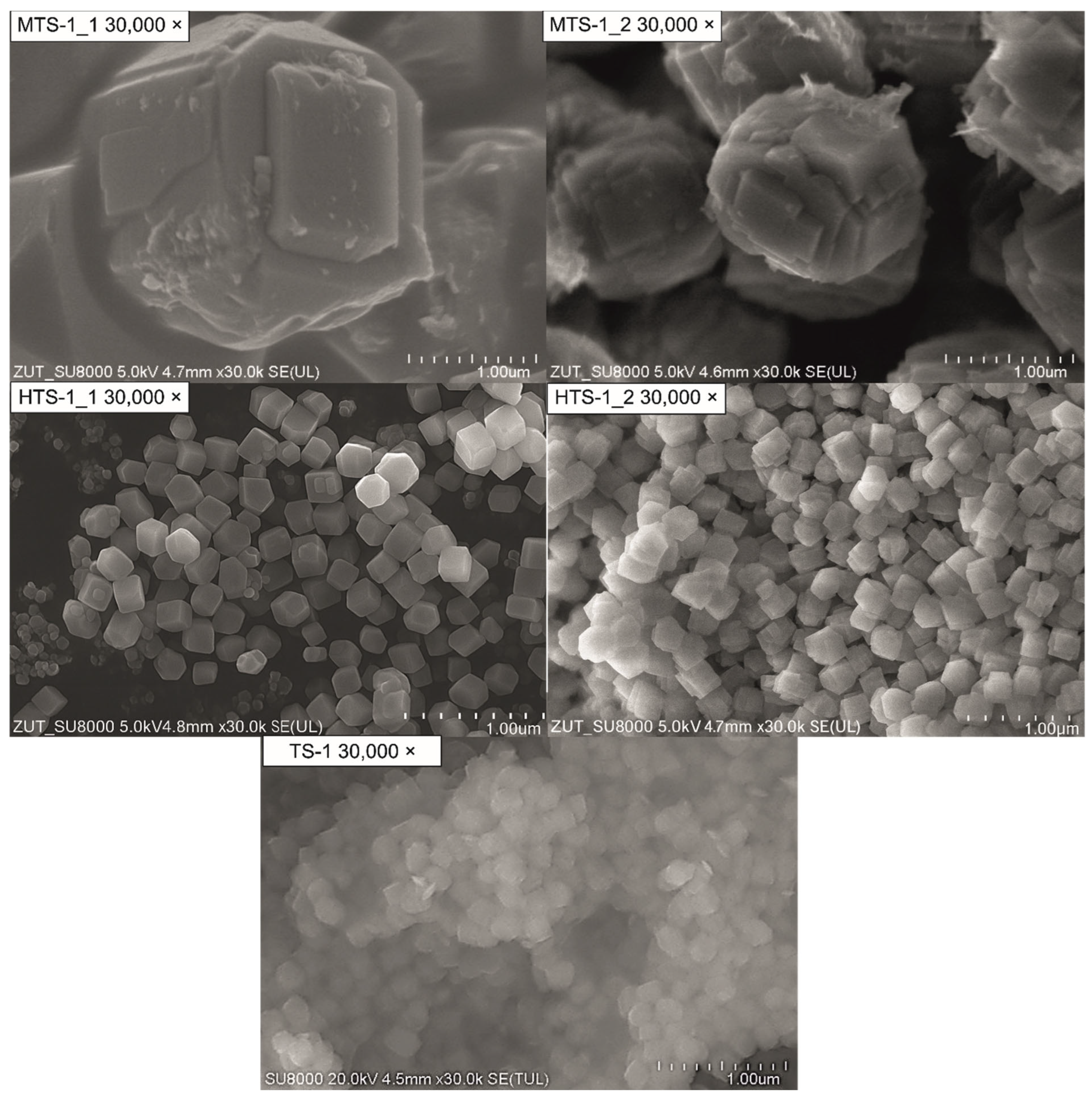 Catalysts 15 00860 g004