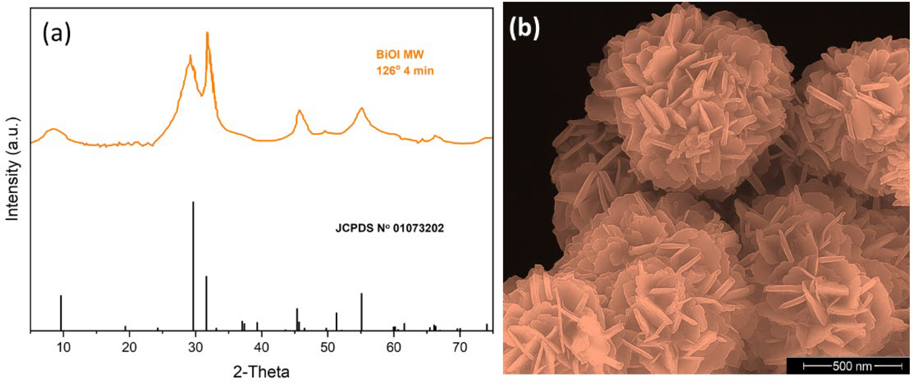 Catalysts 15 00868 g001