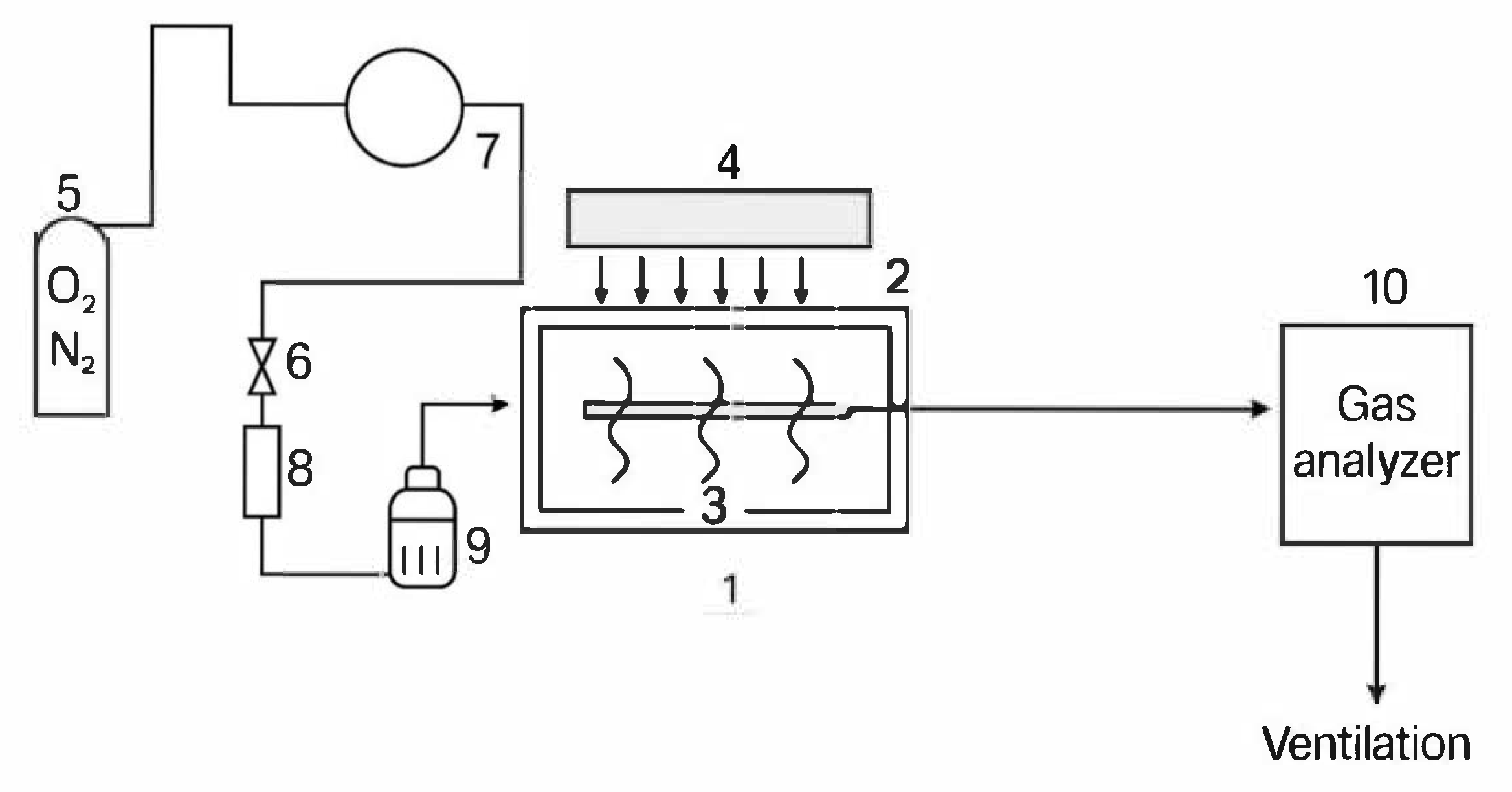 Catalysts 15 00868 g006