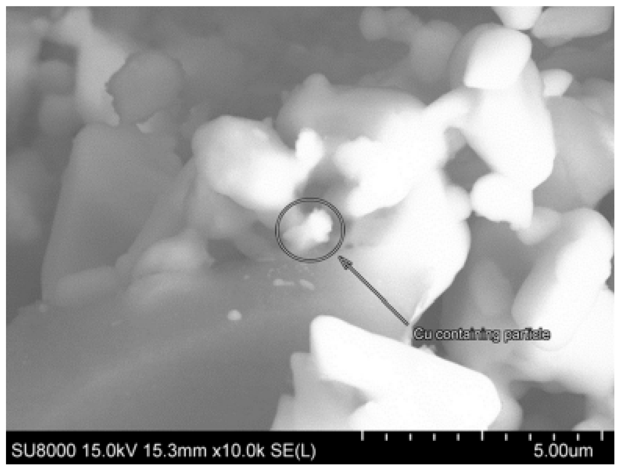 Catalysts 15 00870 g009