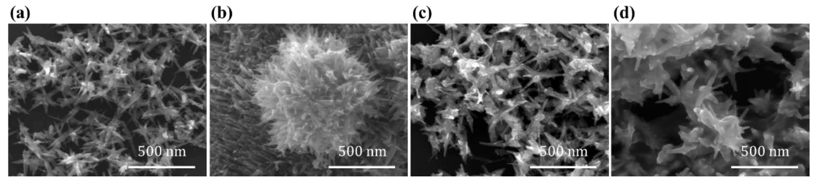 Catalysts 15 00876 g002