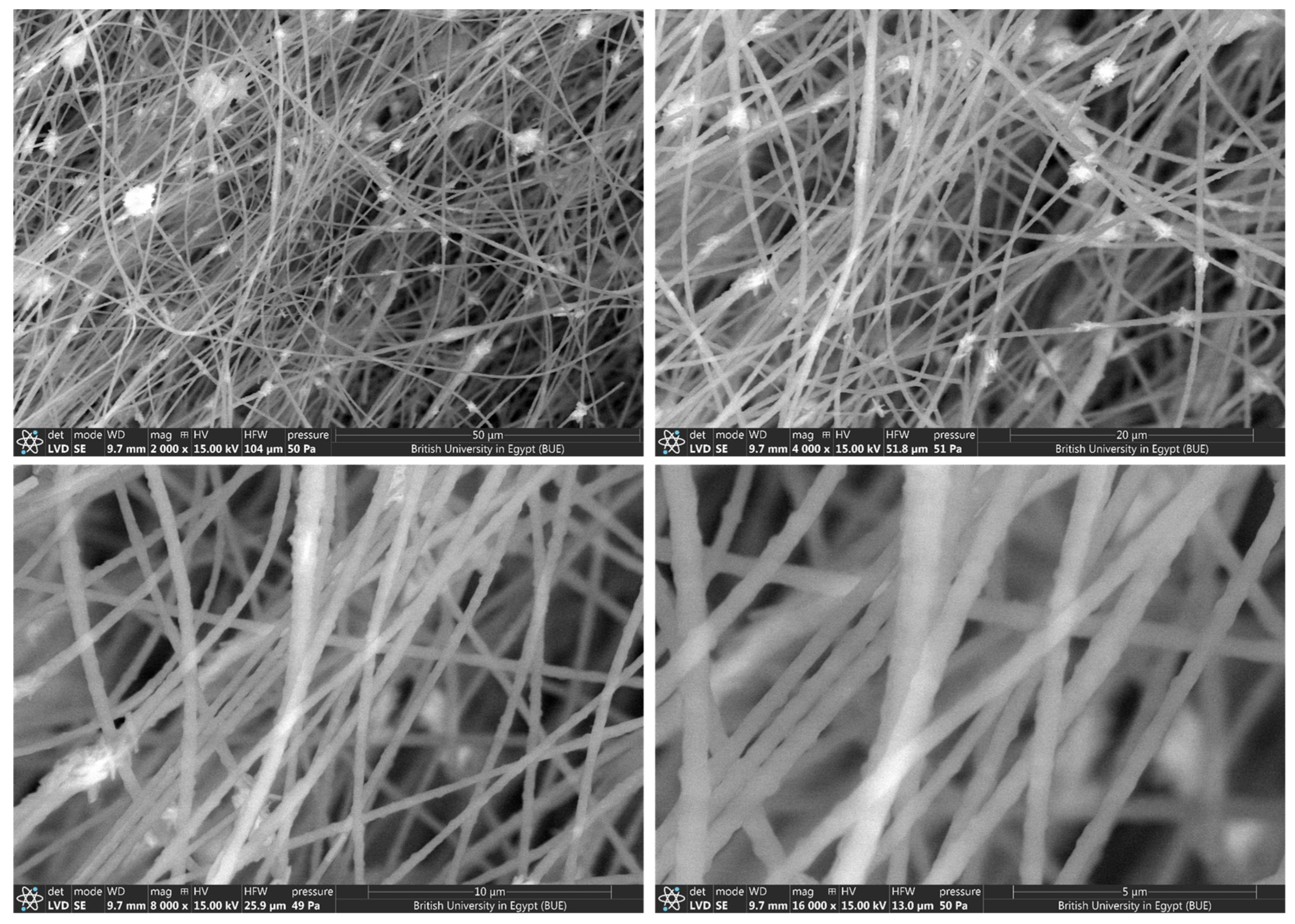 Catalysts 15 00878 g005 Catalysts 15 00878 g005