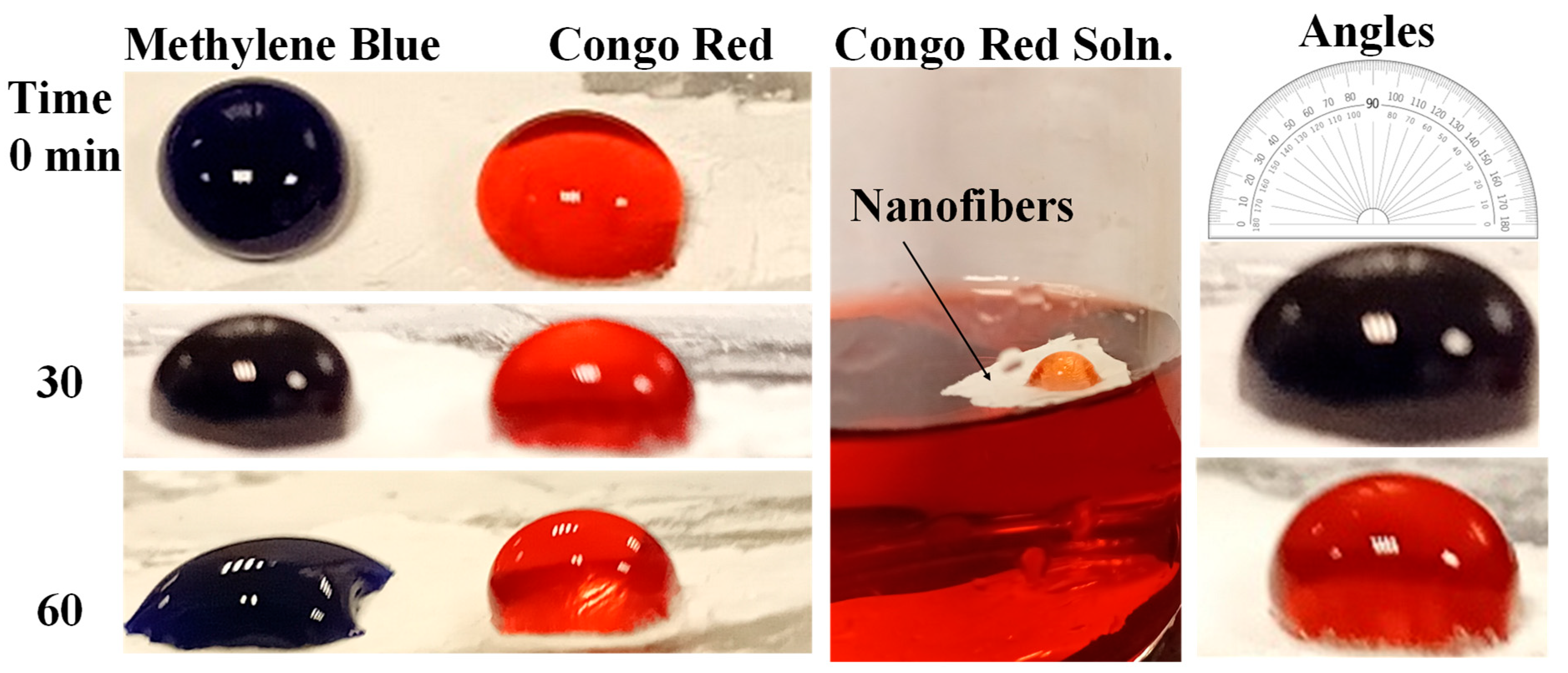 Catalysts 15 00878 g008 Catalysts 15 00878 g008