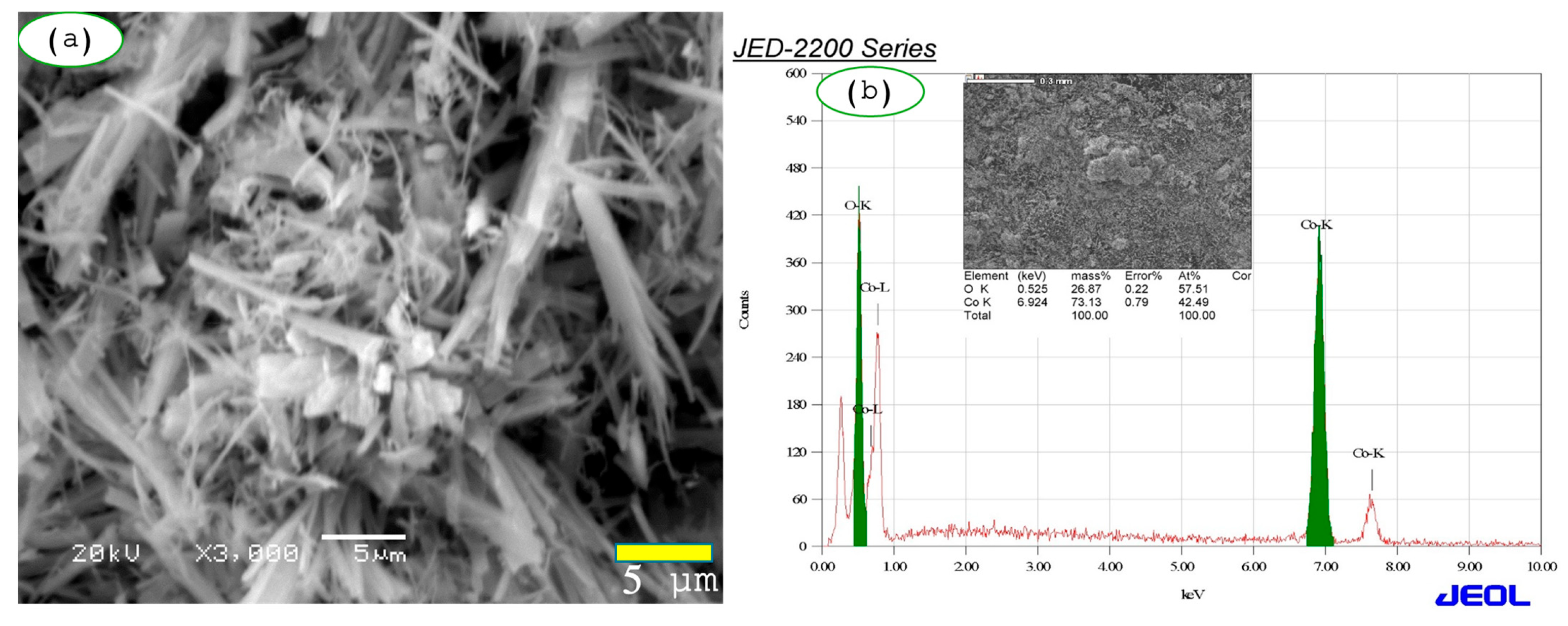 Catalysts 15 00881 g004 Catalysts 15 00881 g004