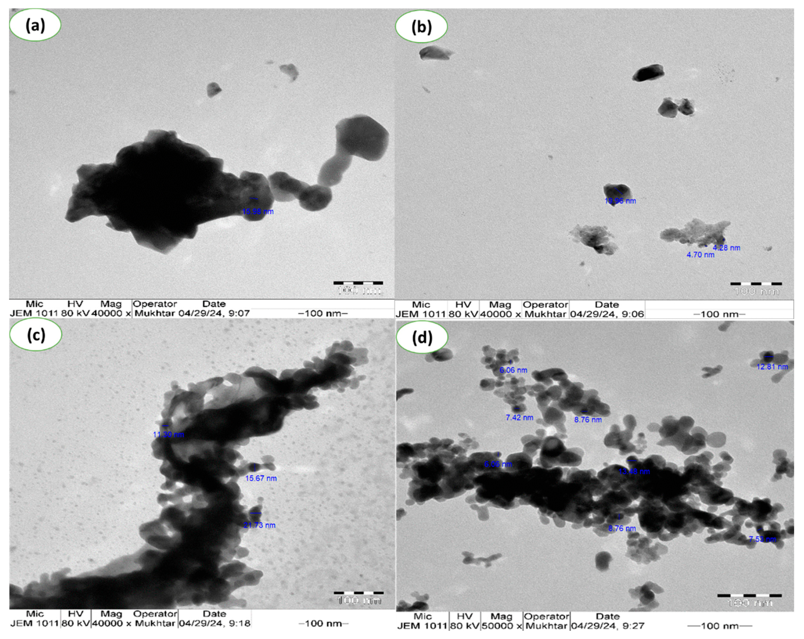 Catalysts 15 00881 g006 Catalysts 15 00881 g006