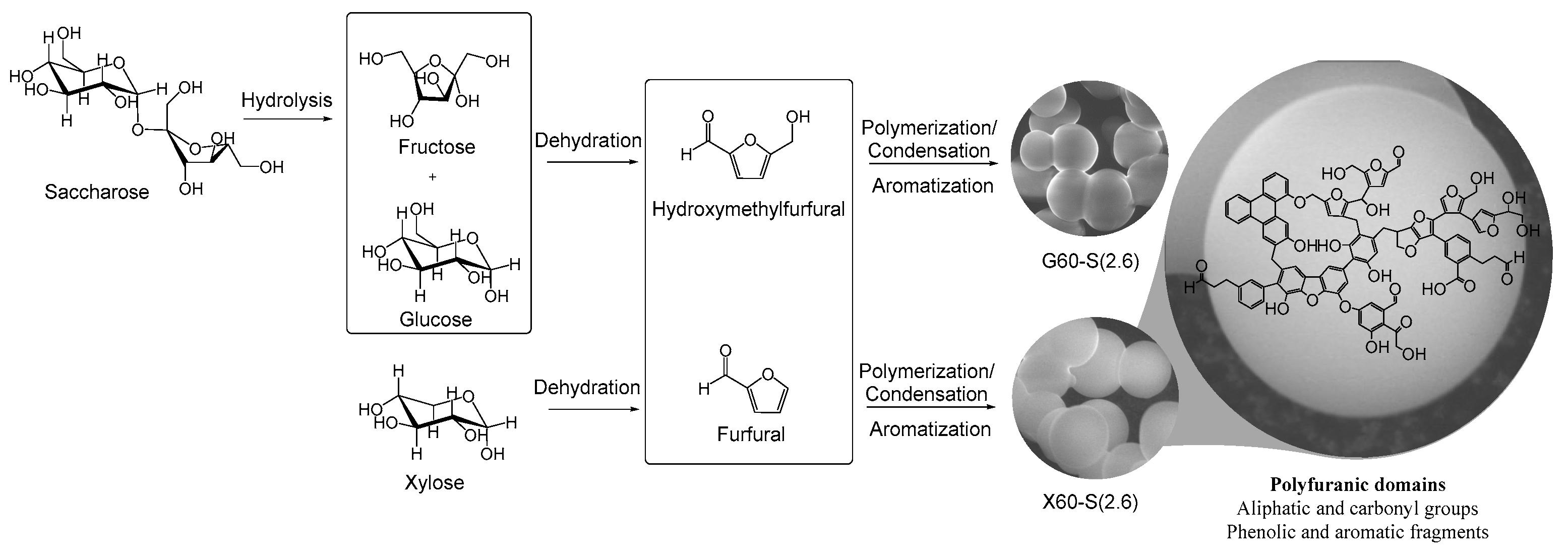 Catalysts 15 00885 g002 Catalysts 15 00885 g002