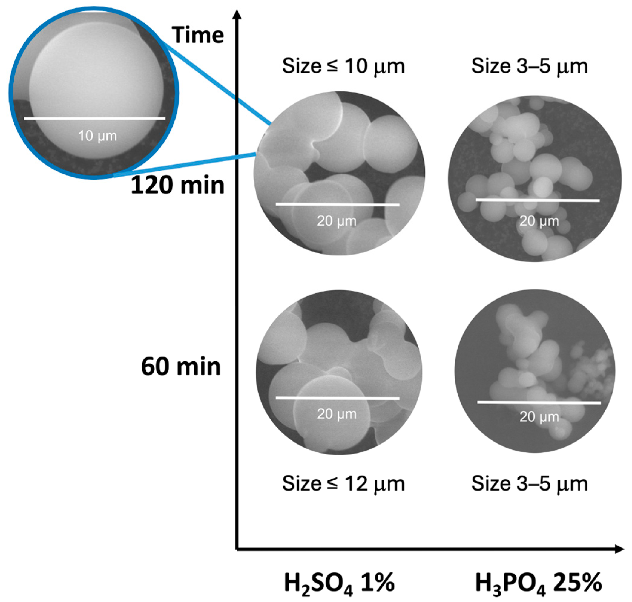 Catalysts 15 00885 g005 Catalysts 15 00885 g005