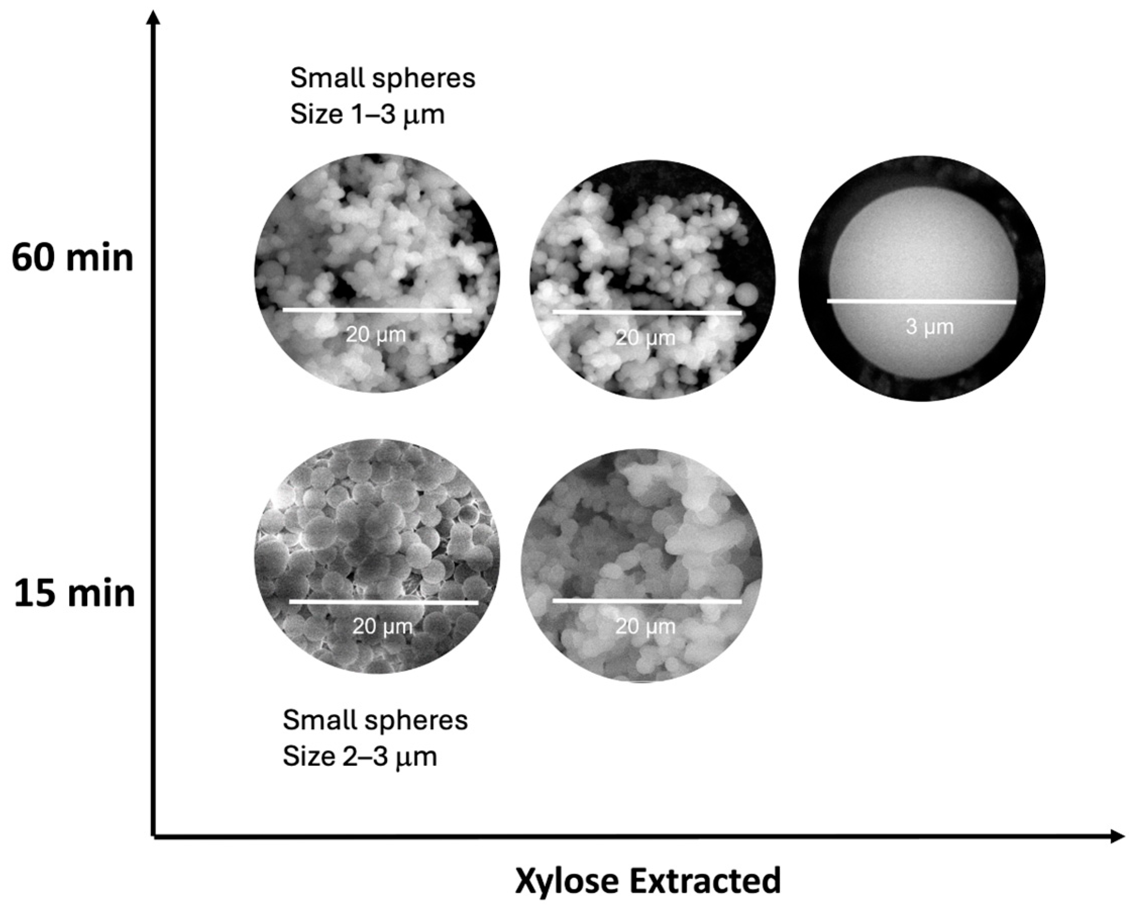 Catalysts 15 00885 g007 Catalysts 15 00885 g007