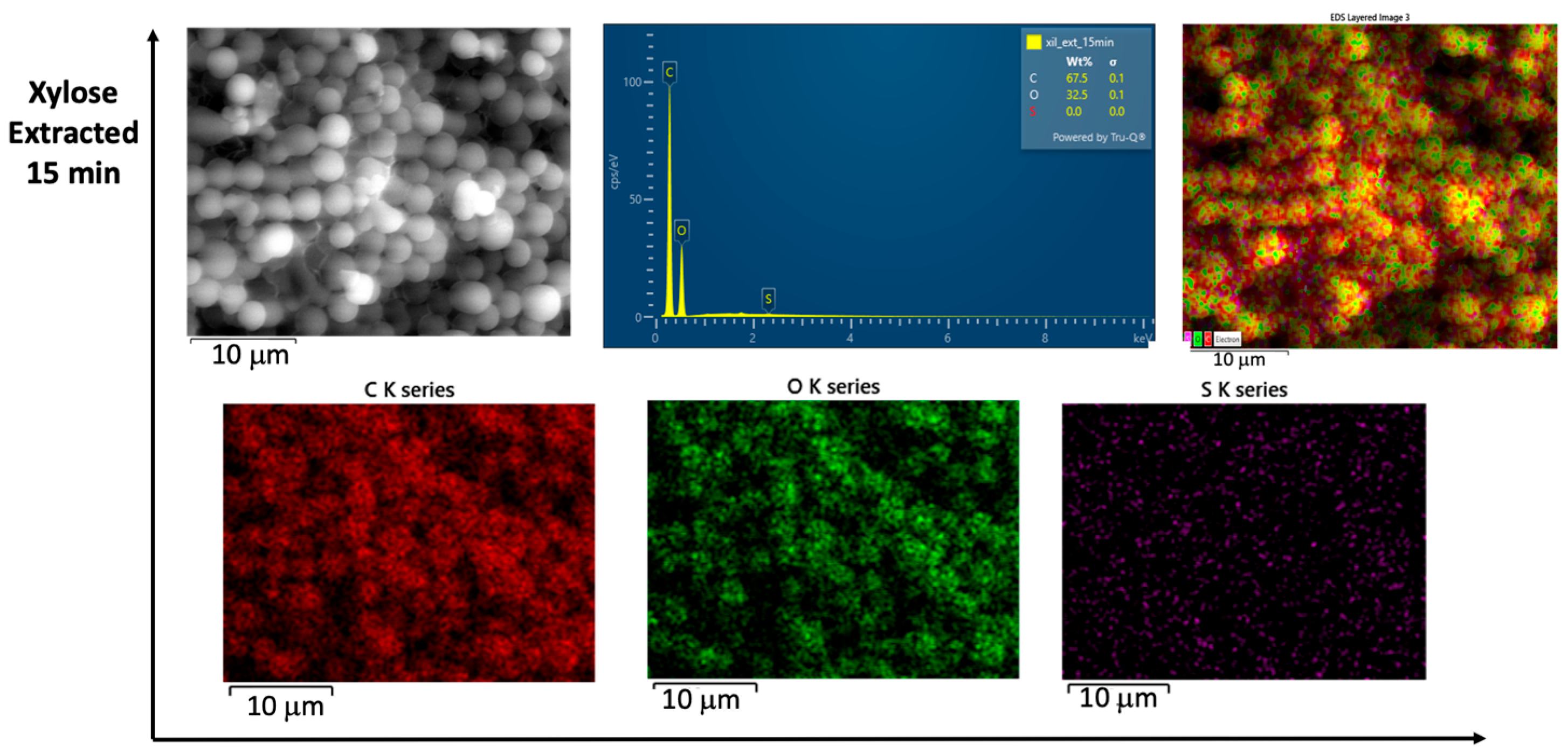 Catalysts 15 00885 g009 Catalysts 15 00885 g009