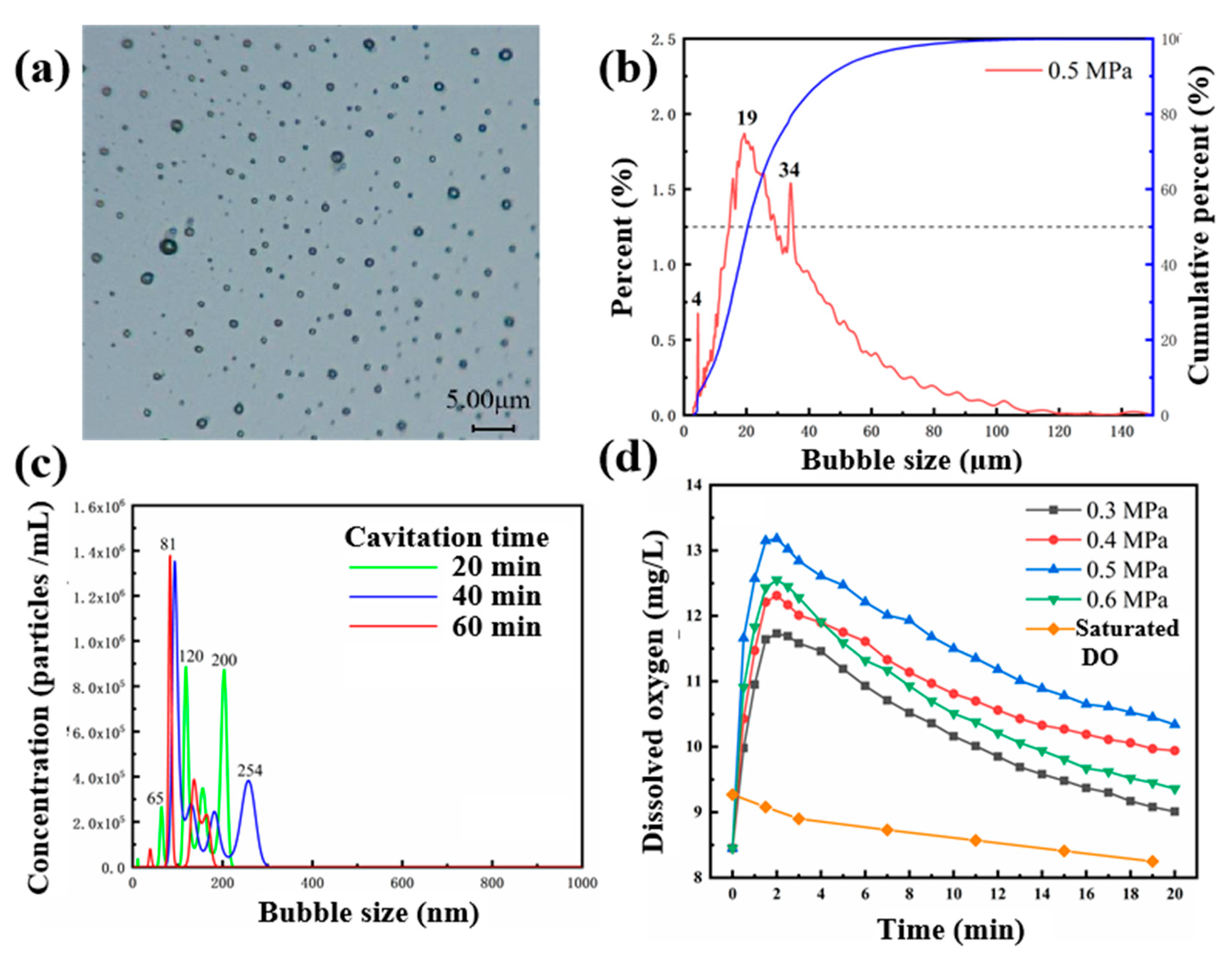 Catalysts 15 00888 g001 Catalysts 15 00888 g001