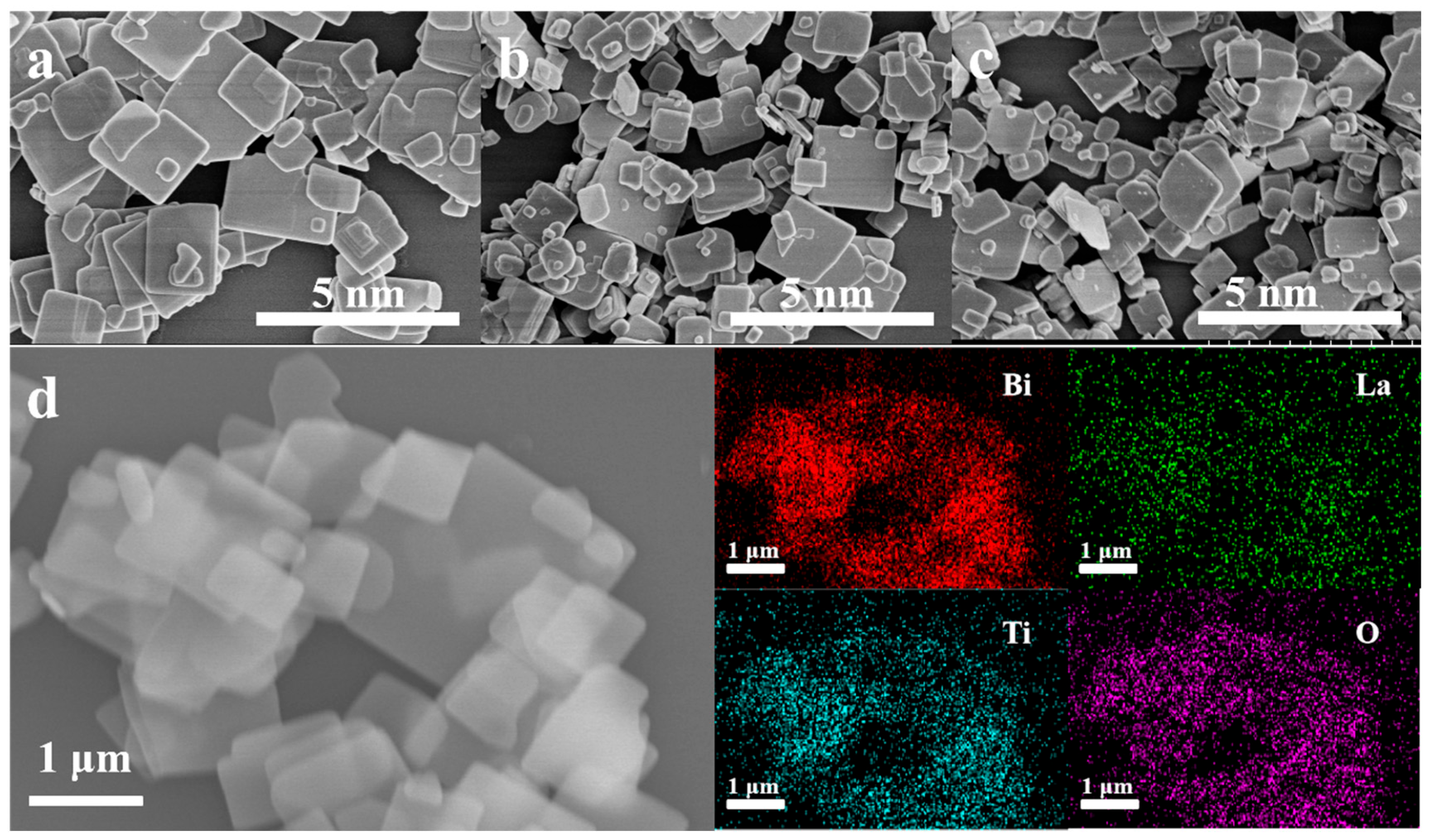 Catalysts 15 00889 g002 Catalysts 15 00889 g002