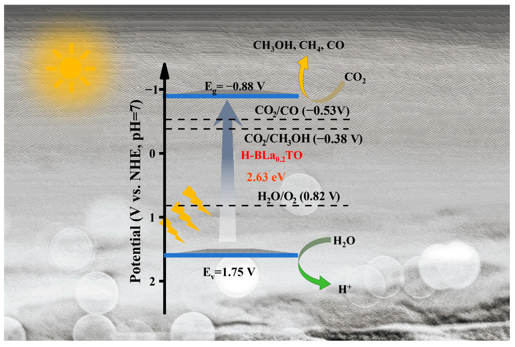 Catalysts 15 00889 g009 Catalysts 15 00889 g009