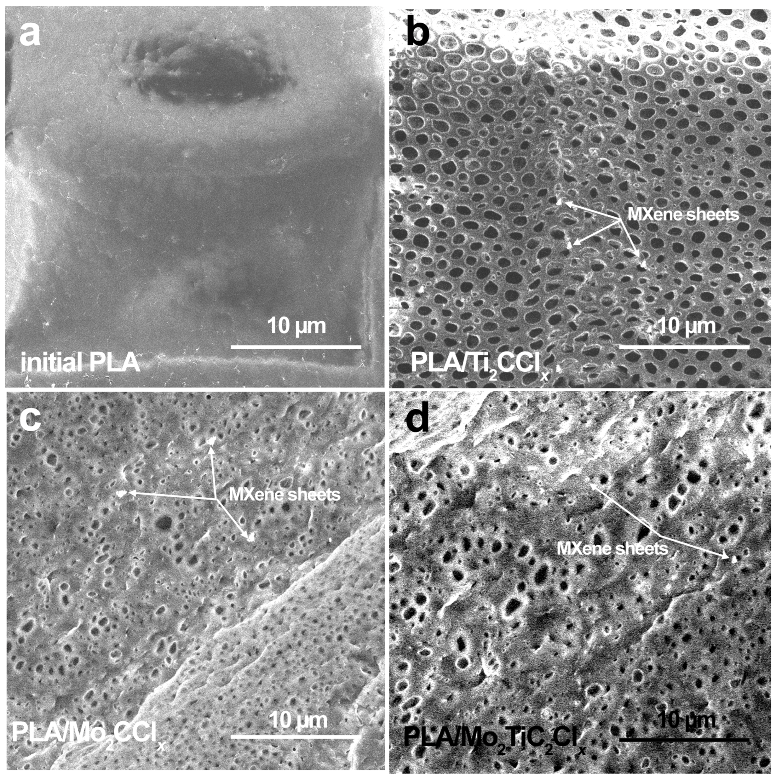 Catalysts 15 00890 g002