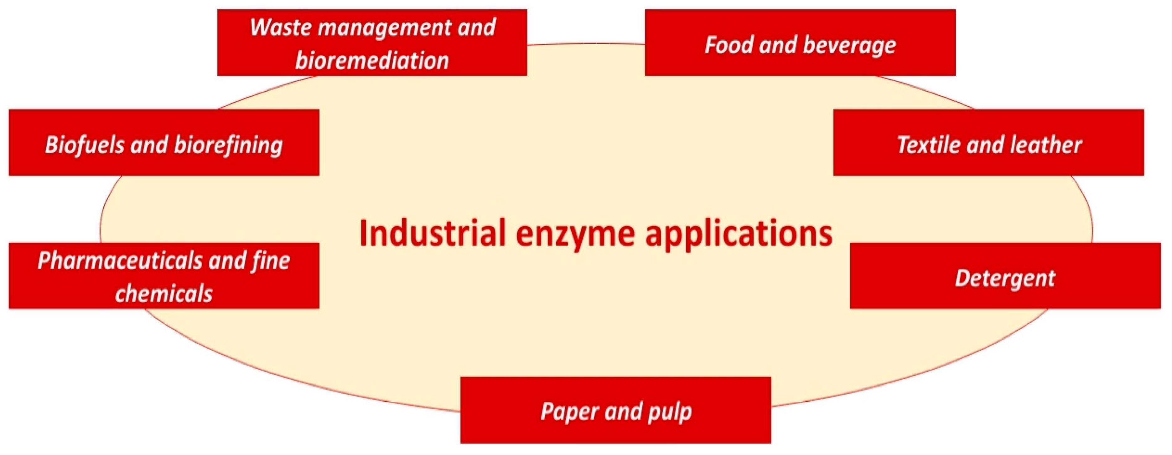 Catalysts 15 00891 g002
