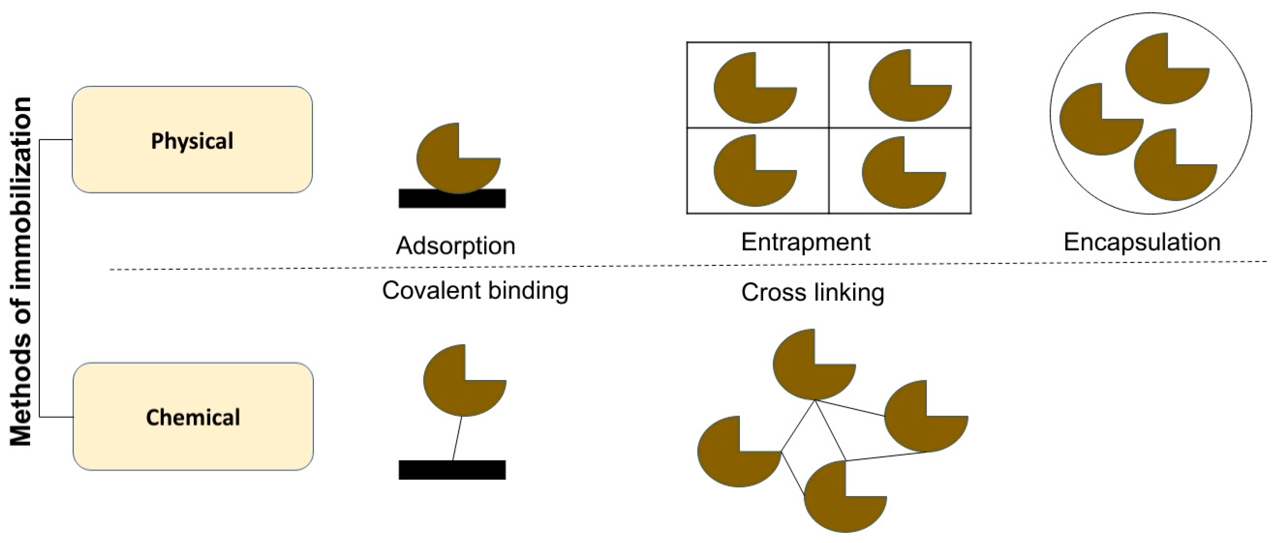Catalysts 15 00891 g006