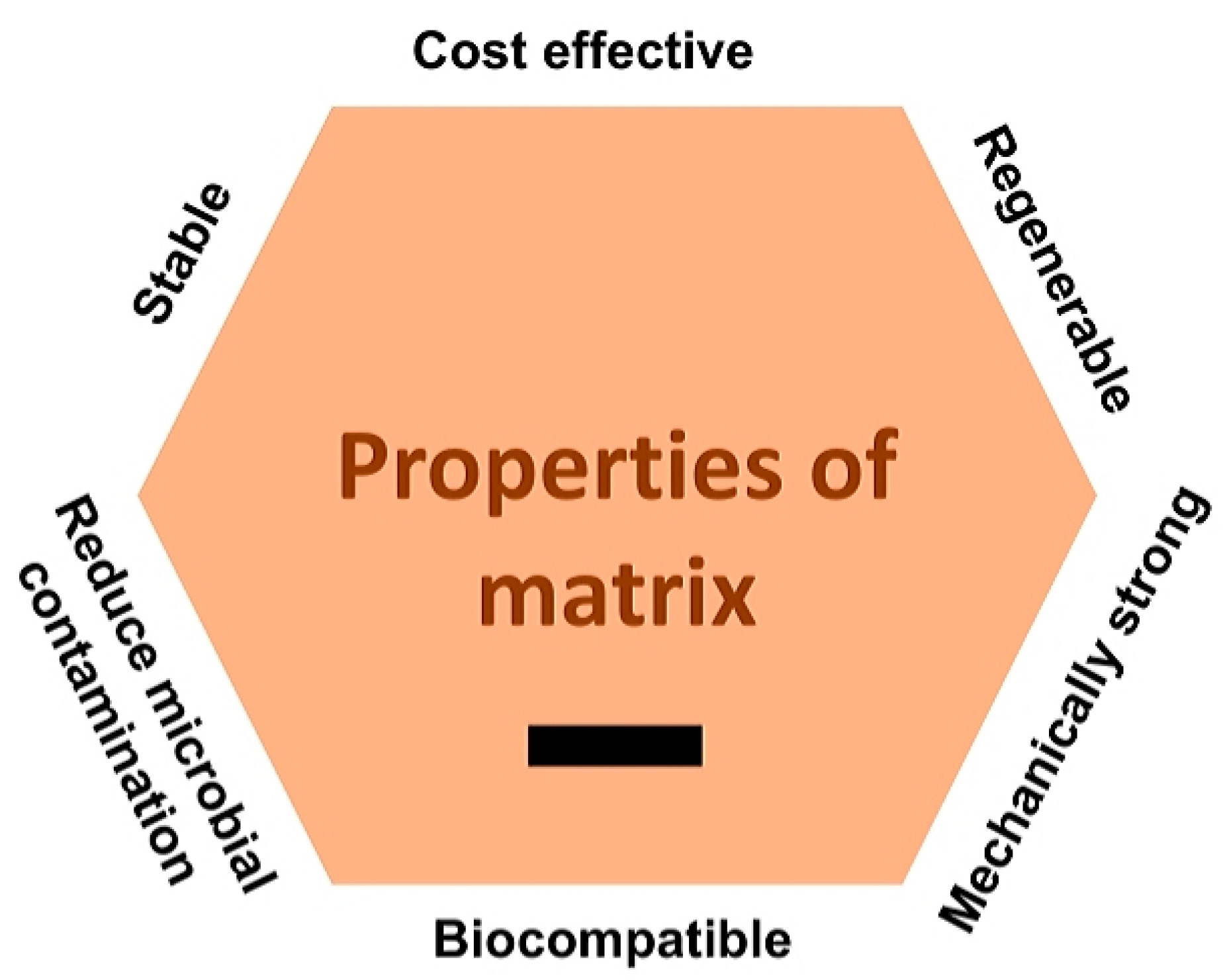 Catalysts 15 00891 g007