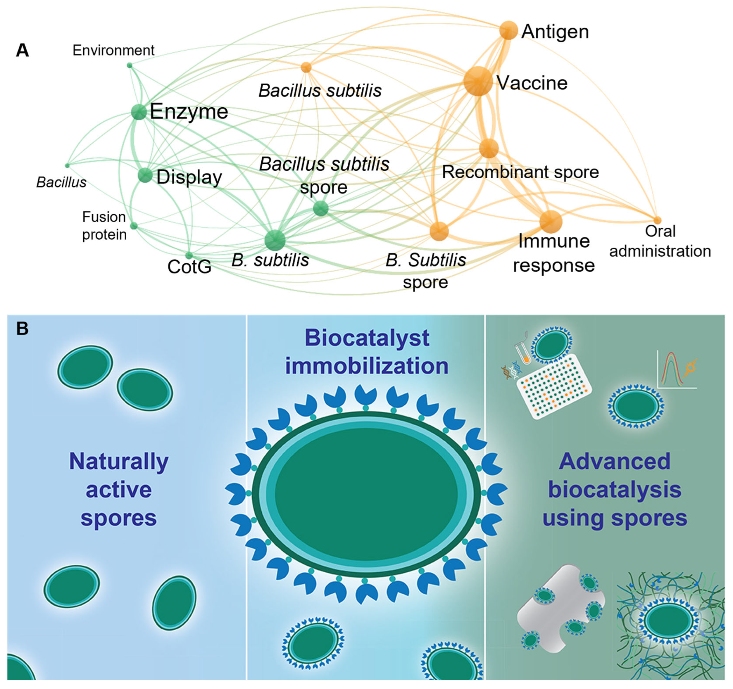 Catalysts 15 00894 g002 Catalysts 15 00894 g002